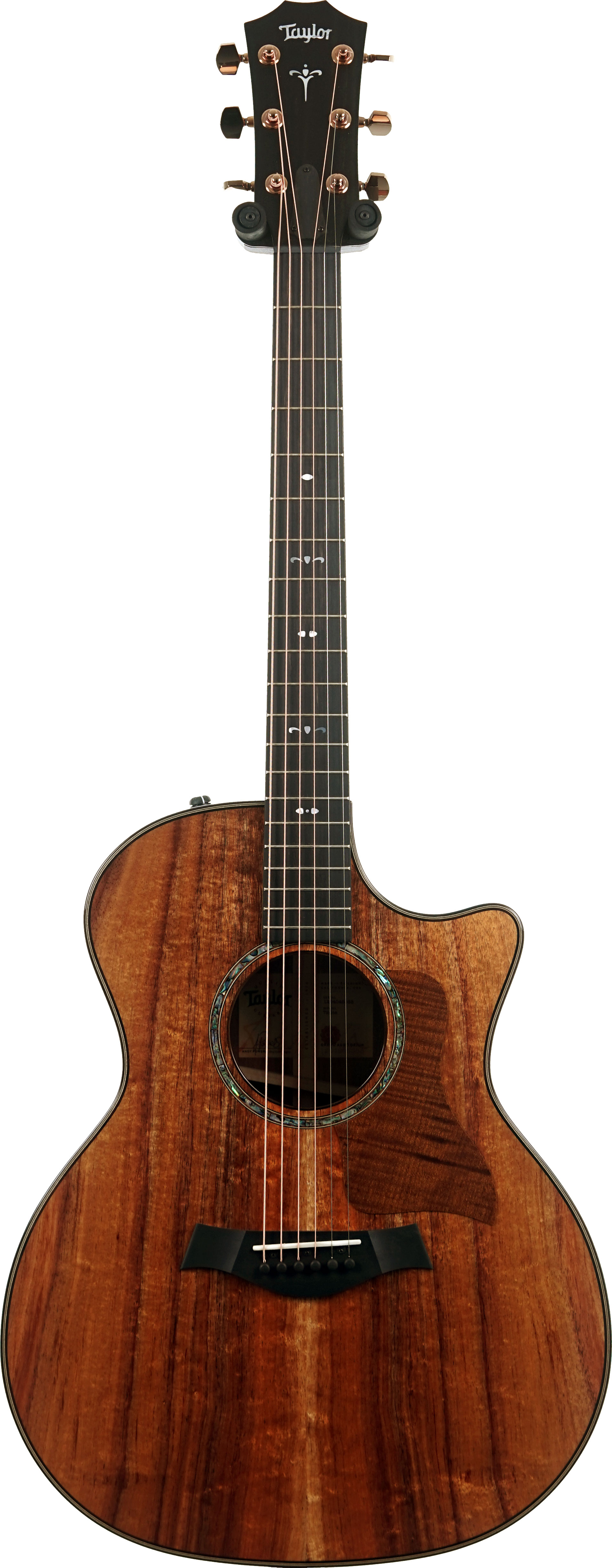GUITARGUITAR Taylor 724ce Gloss Grand Auditorium #1204045058