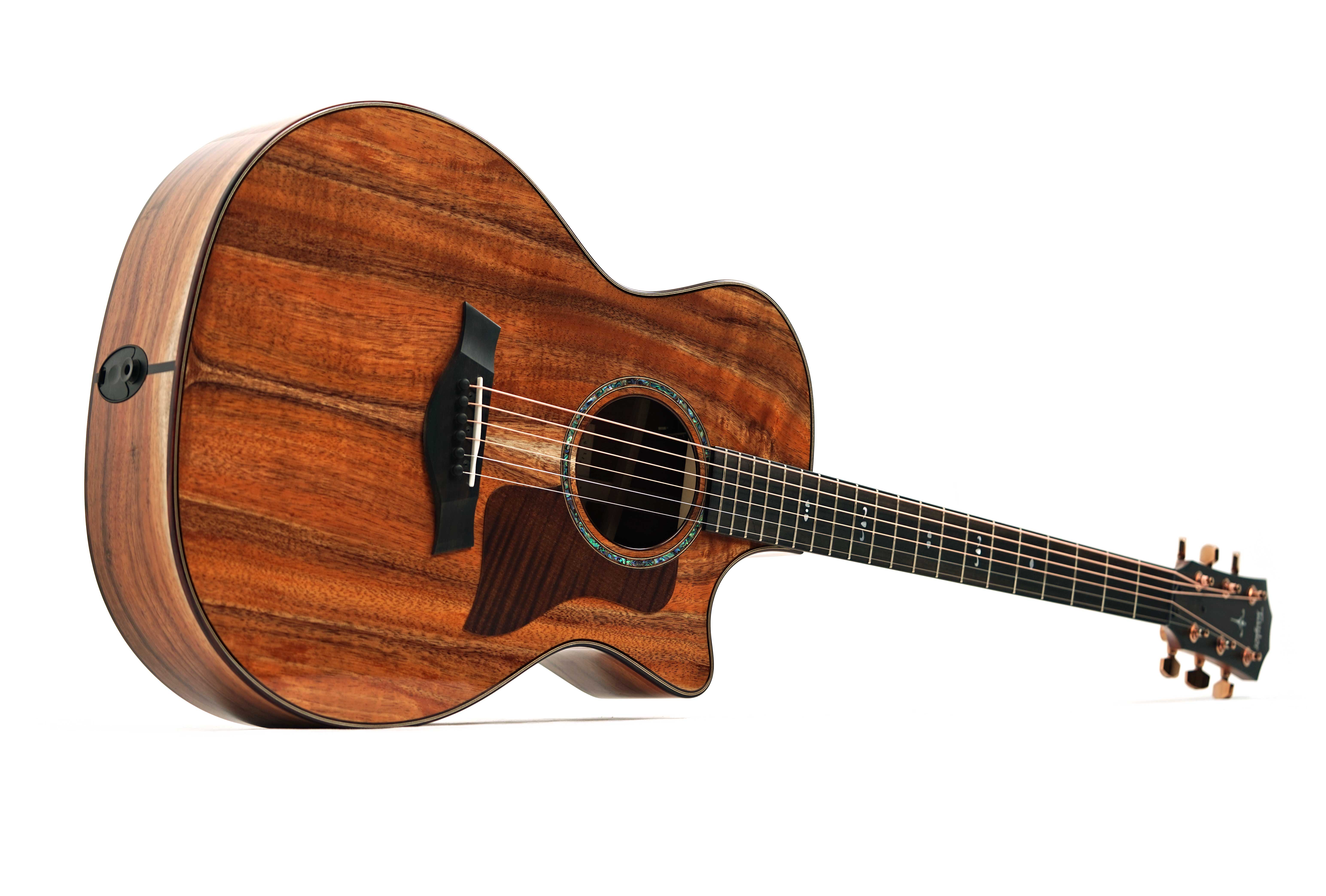 GUITARGUITAR Taylor 724ce Gloss Grand Auditorium #1204145070