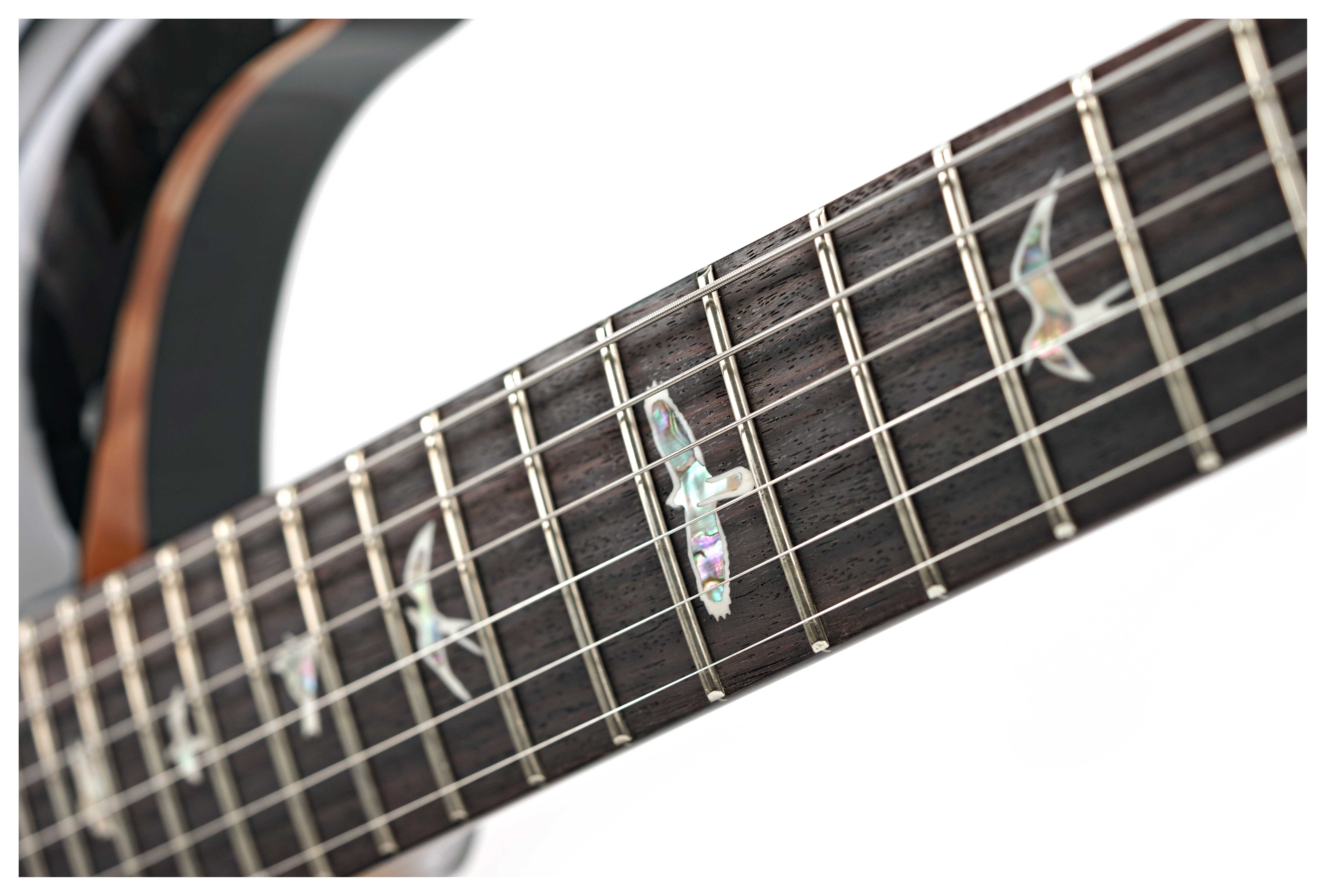GUITARGUITAR PRS Special Semi-Hollow Purple Mist #0384042