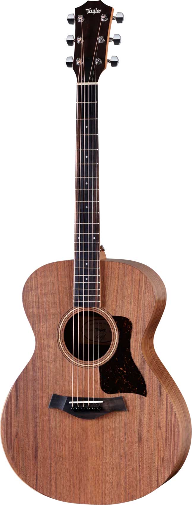 GUITARGUITAR Taylor Academy 22e Grand Concert