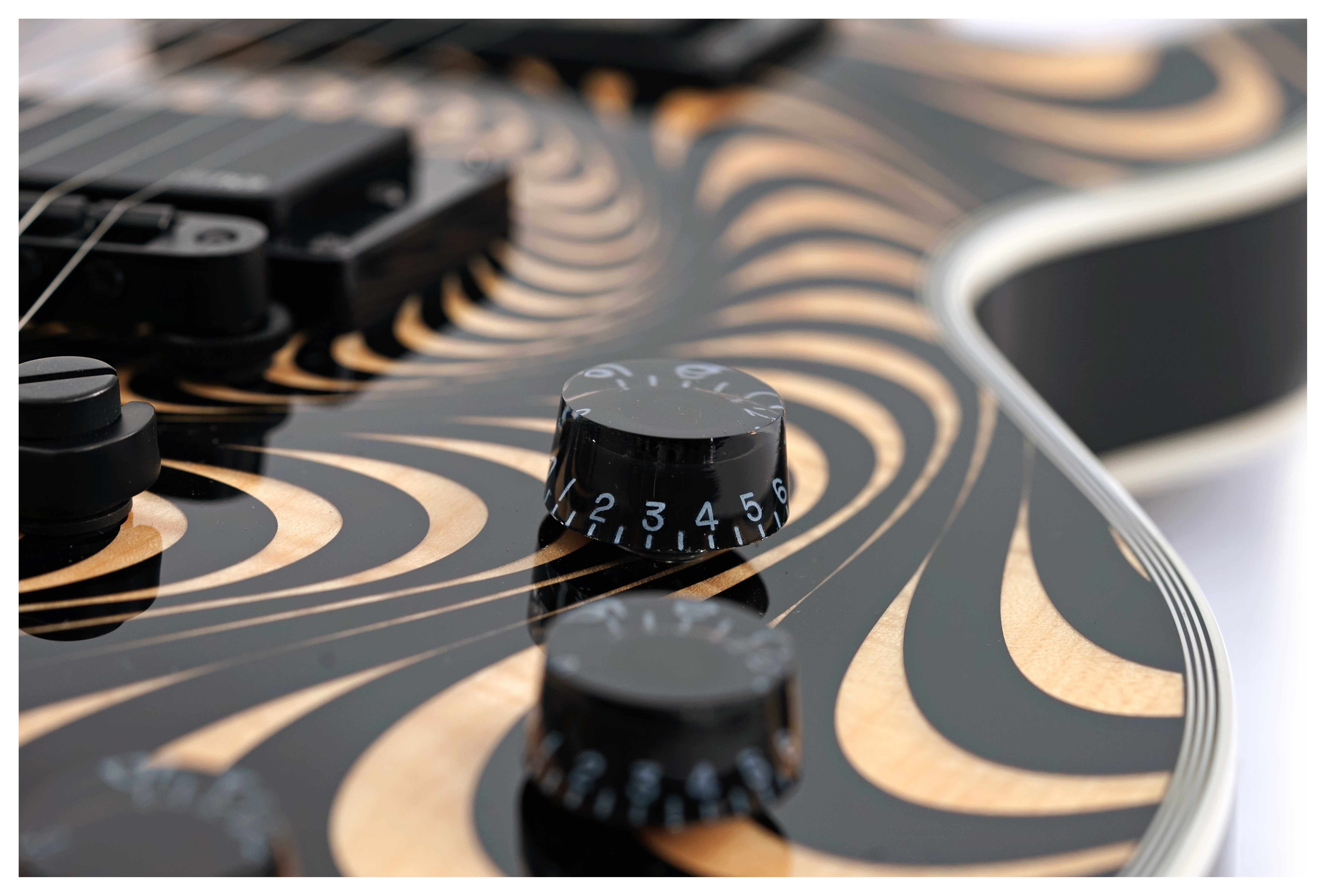 GUITARGUITAR Wylde Audio Odin Grail Psychic Bullseye Rawtop