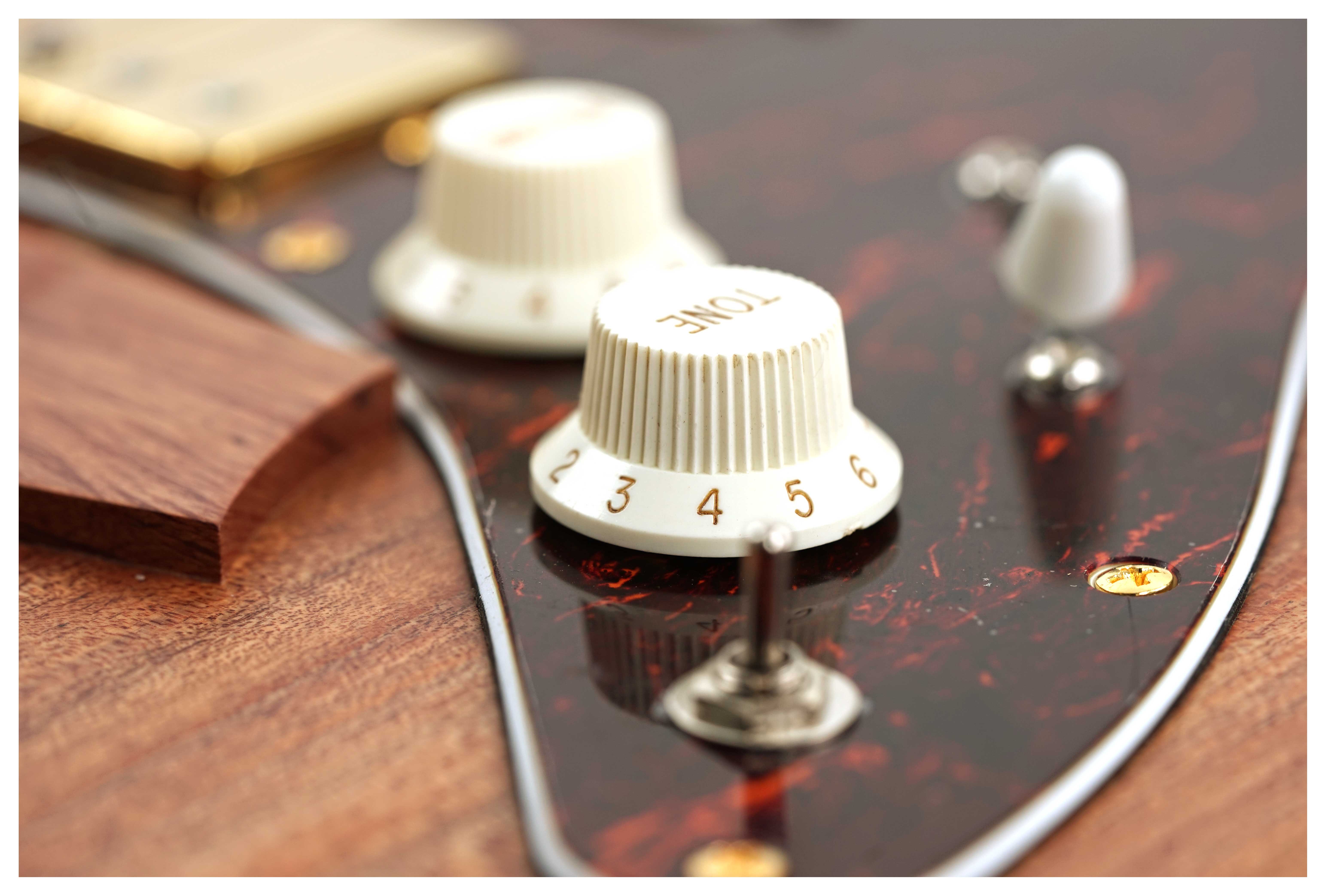 GUITARGUITAR Cole Clark True Hybrid HSS Thinline All Blackwood