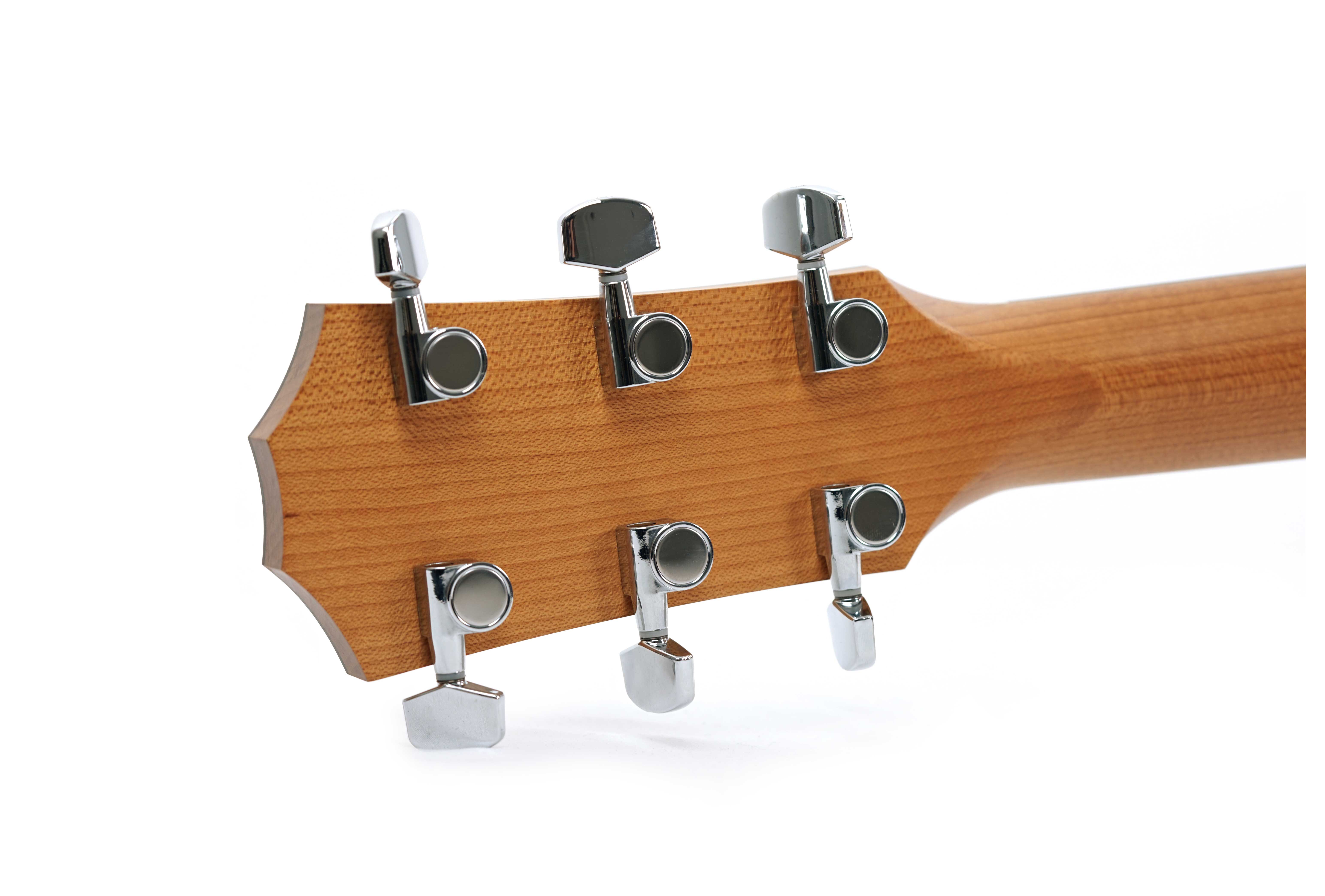 GUITARGUITAR Taylor 110ce-S Sapele C-Class Bracing