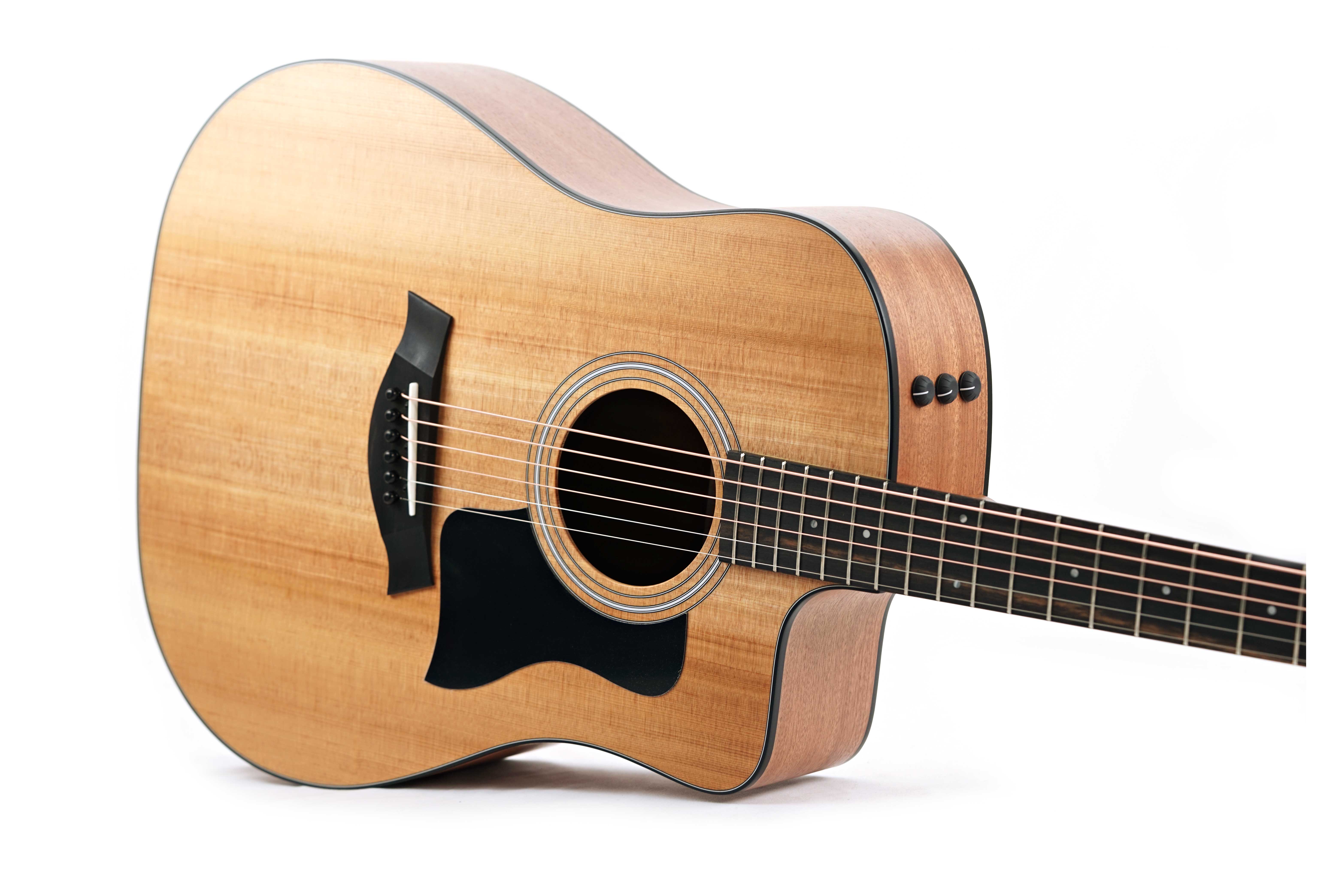GUITARGUITAR Taylor 110ce-S Sapele C-Class Bracing