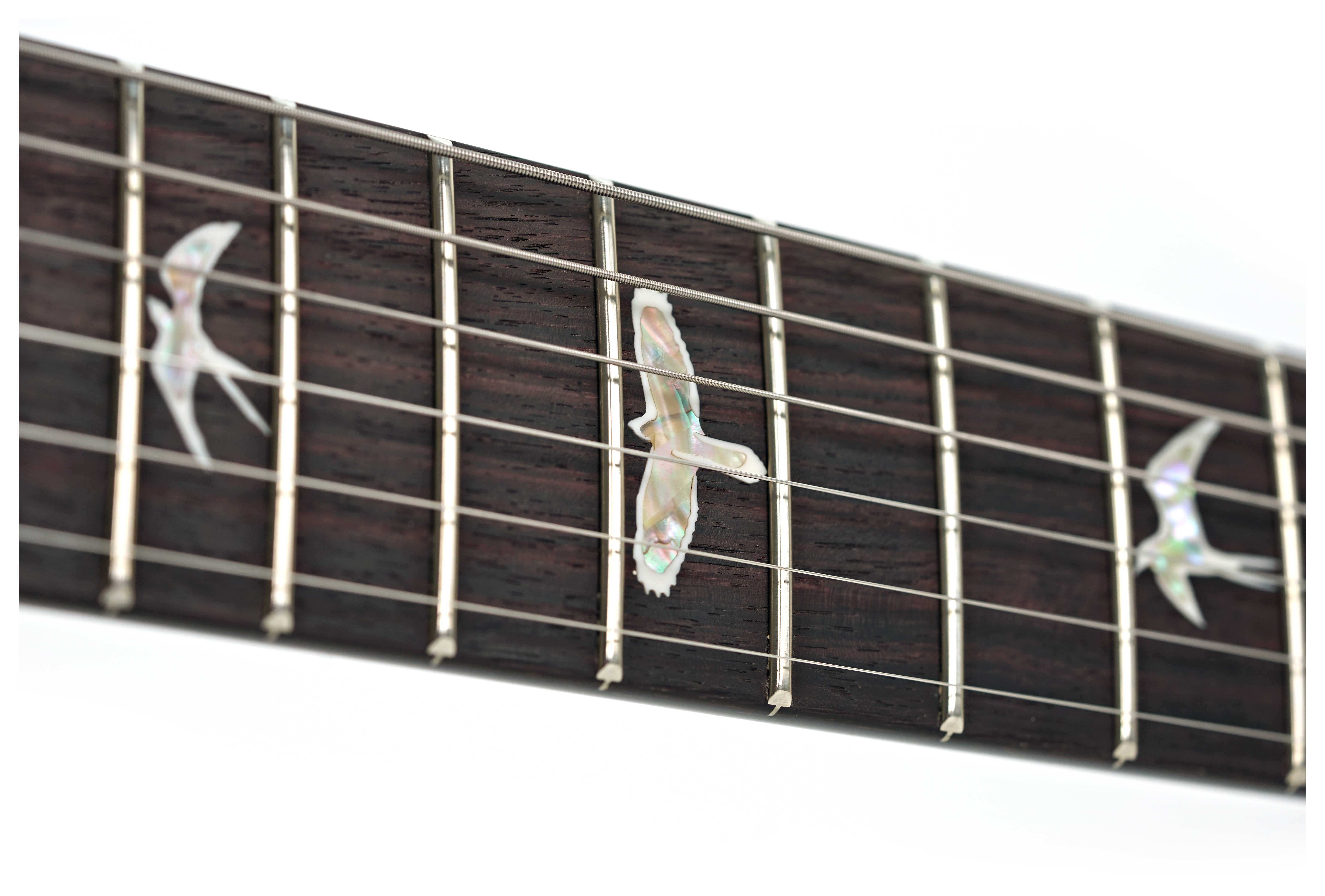 GUITARGUITAR PRS Custom 24 Black Gold Wraparound Burst #0403353