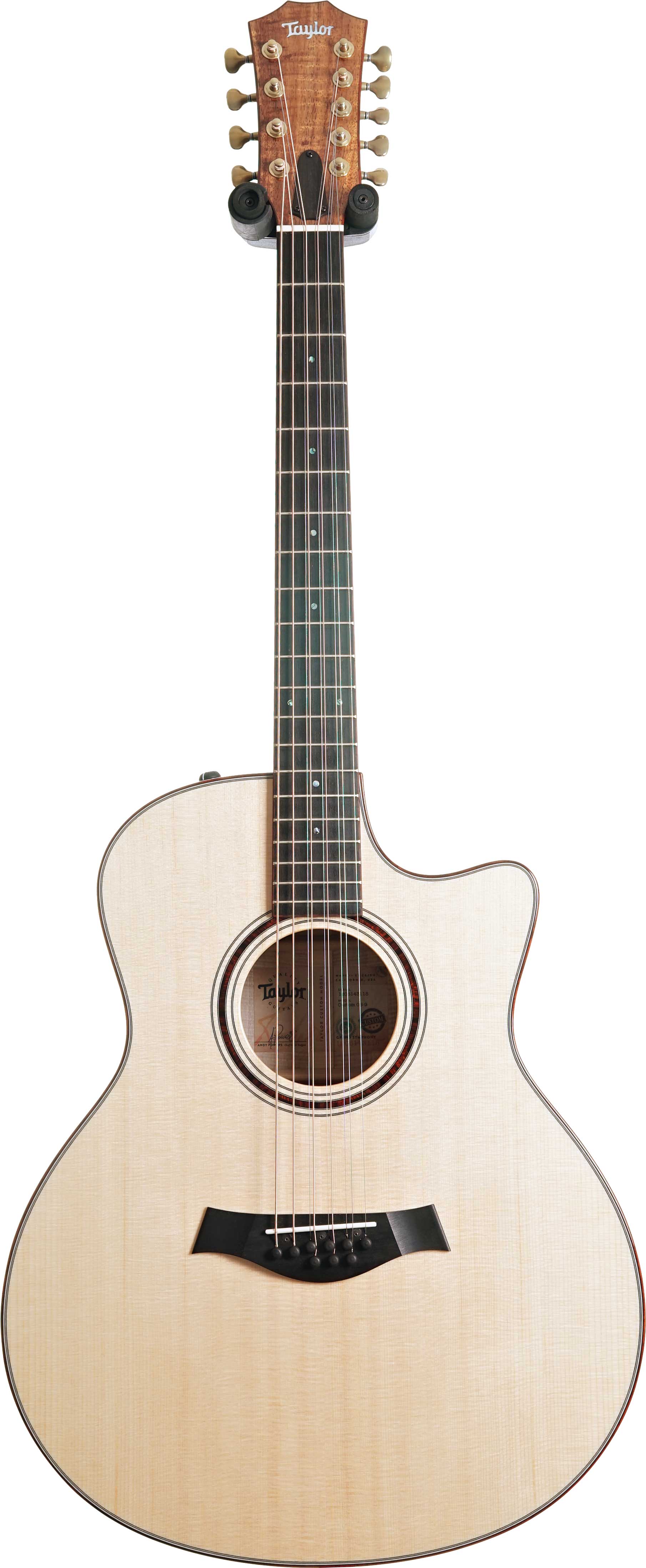 GUITARGUITAR Taylor Custom Grand Symphony 9 String Lutz Spruce / AA Koa