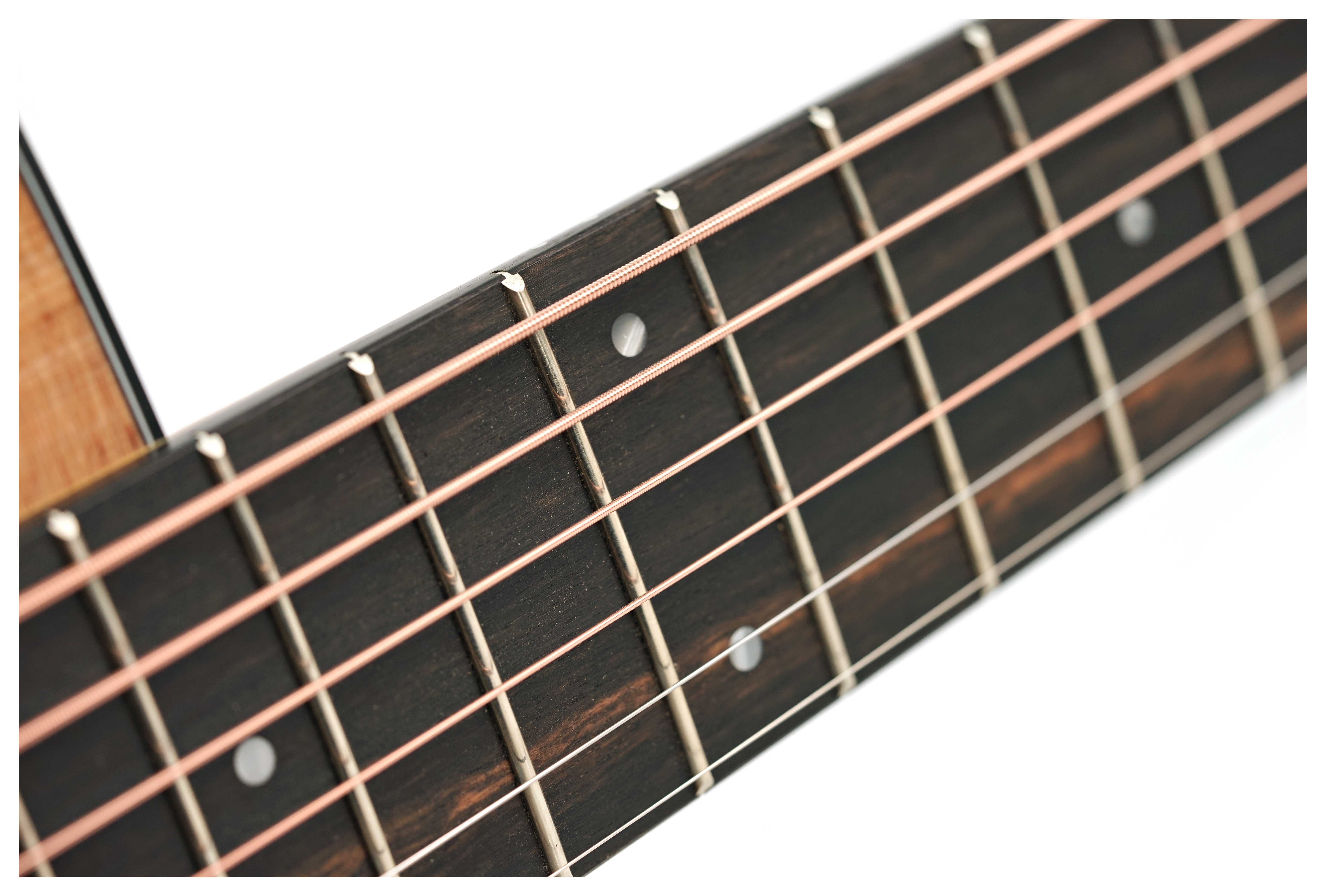 GUITARGUITAR Taylor 110ce-S Sapele C-Class Bracing