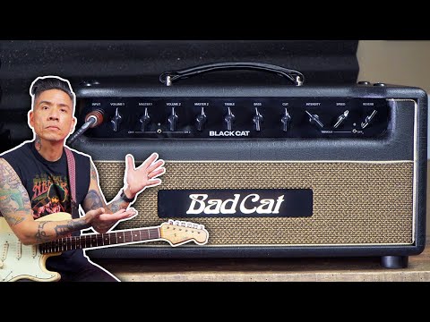 GUITARGUITAR Bad Cat Black Cat 1x12 Combo Valve Amp