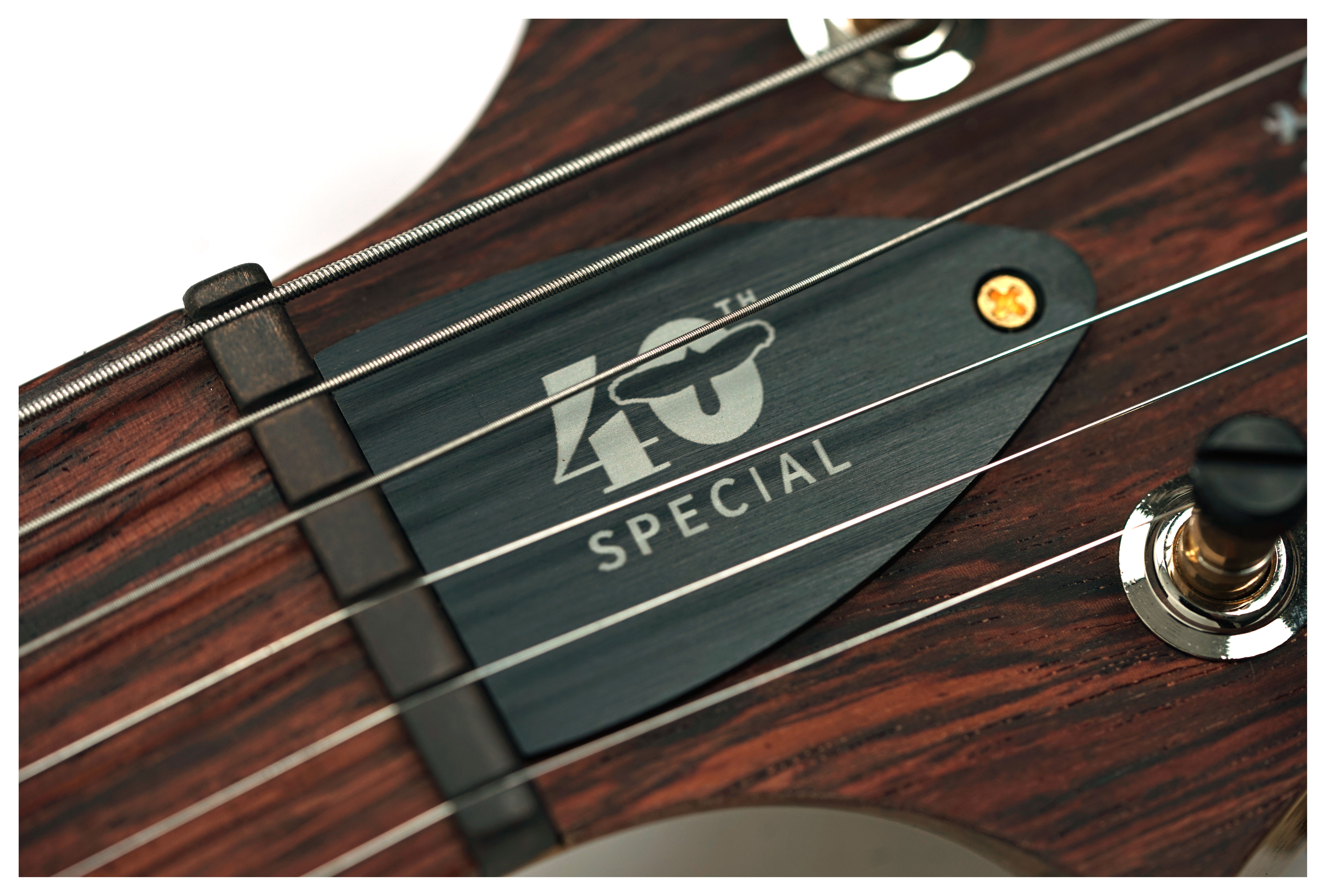 GUITARGUITAR PRS 40th Anniversary Special Semi-Hollow Limited Edition Yellow Tiger #0413564