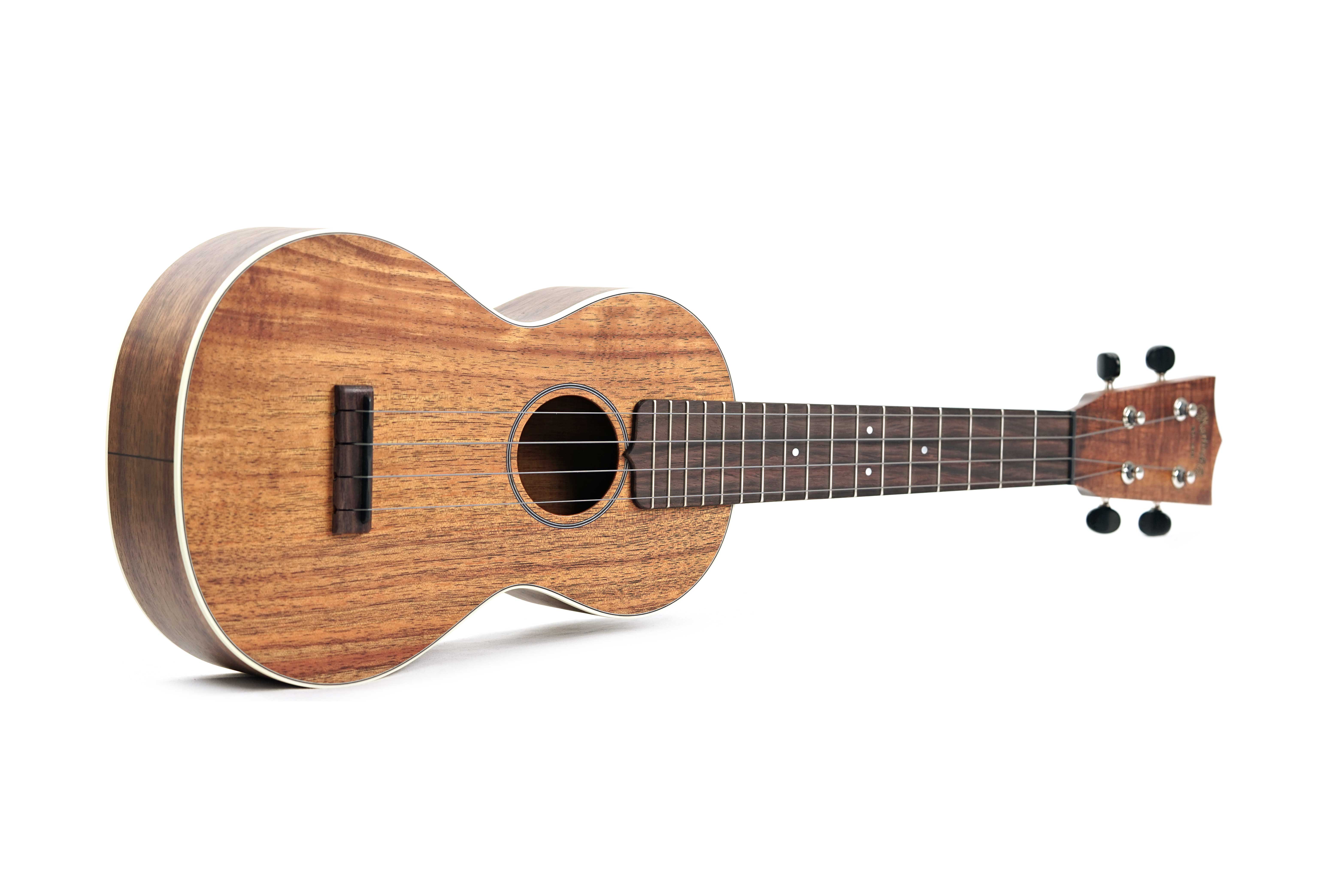 GUITARGUITAR Martin 2K Concert Uke