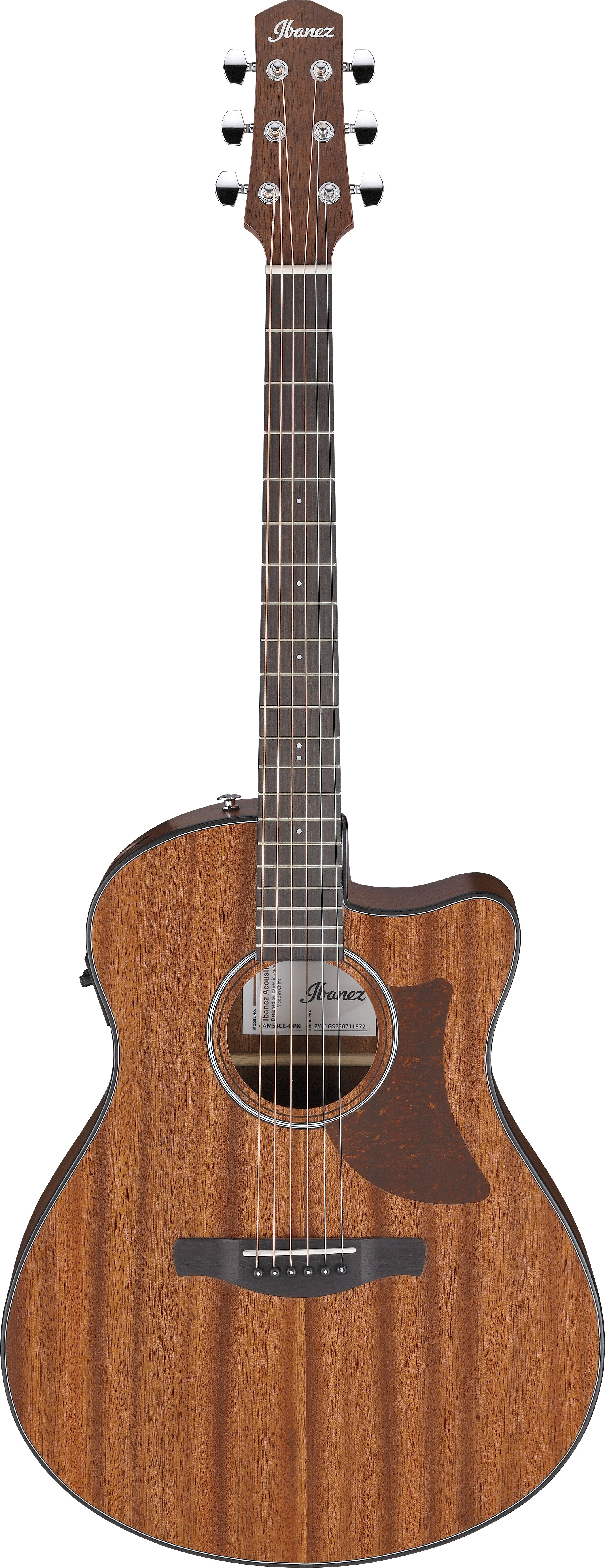 GUITARGUITAR Ibanez AAM54CE Open Pore Natural