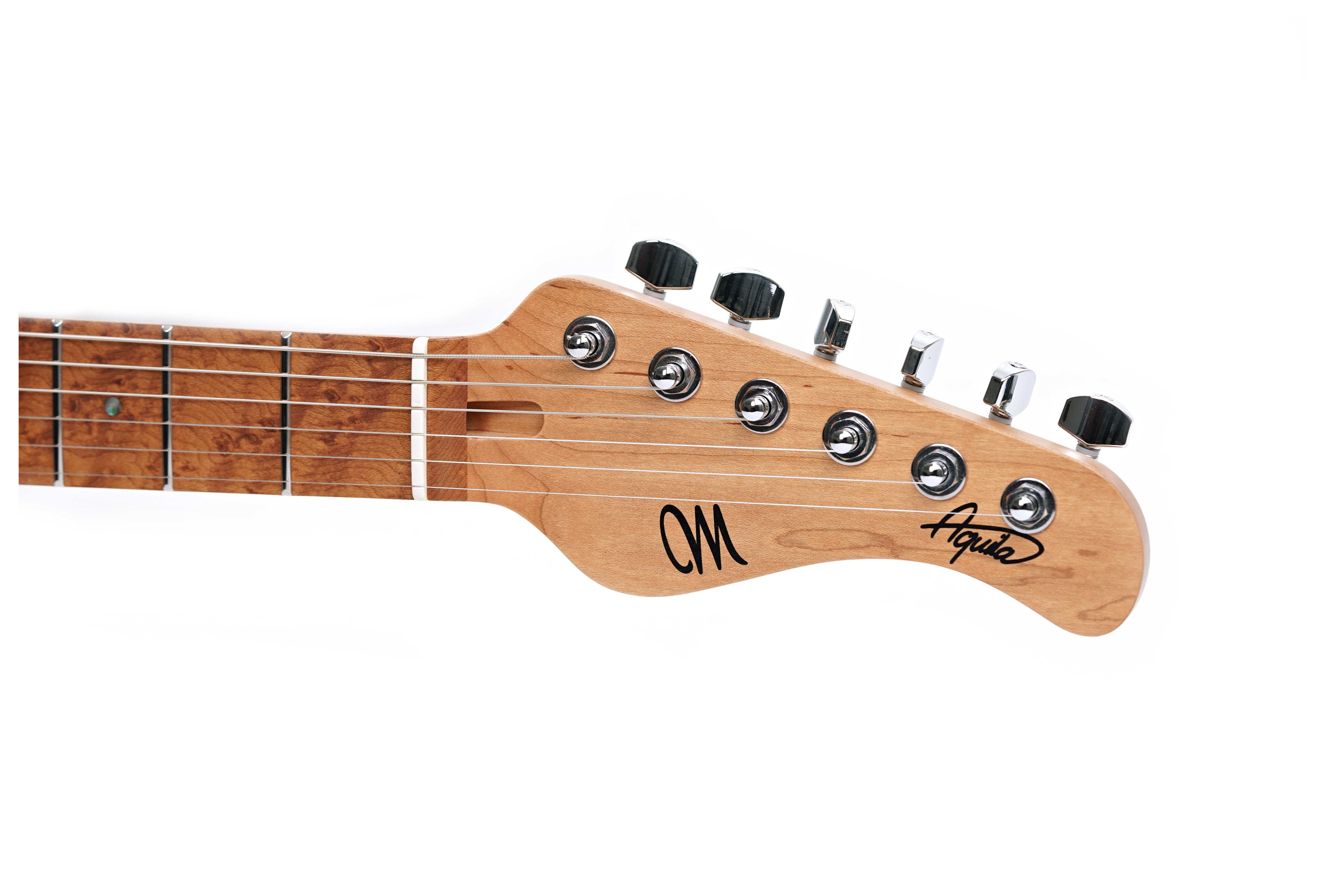GUITARGUITAR Mayones Aquila Aged V24 6 Monolith Daphne Blue #AQ2405427