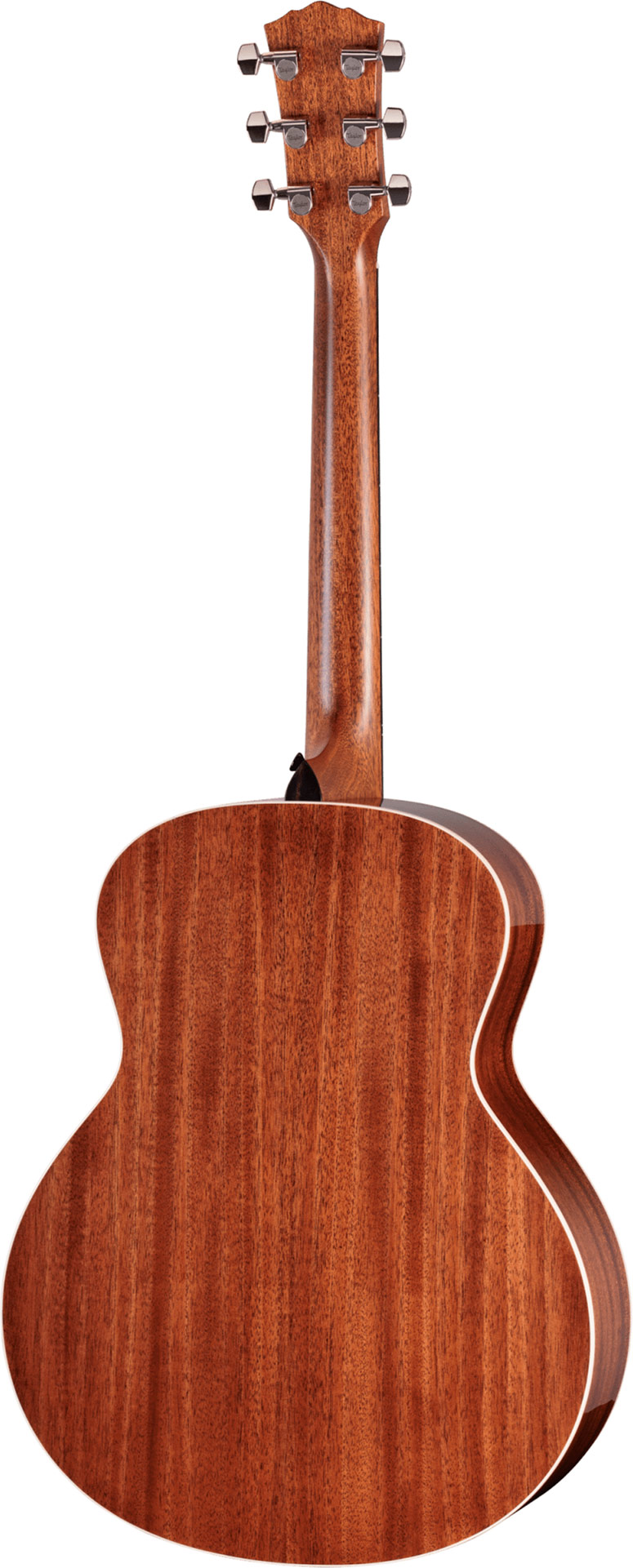 GUITARGUITAR Taylor Gold Label 514e Blacktop Super Auditorium