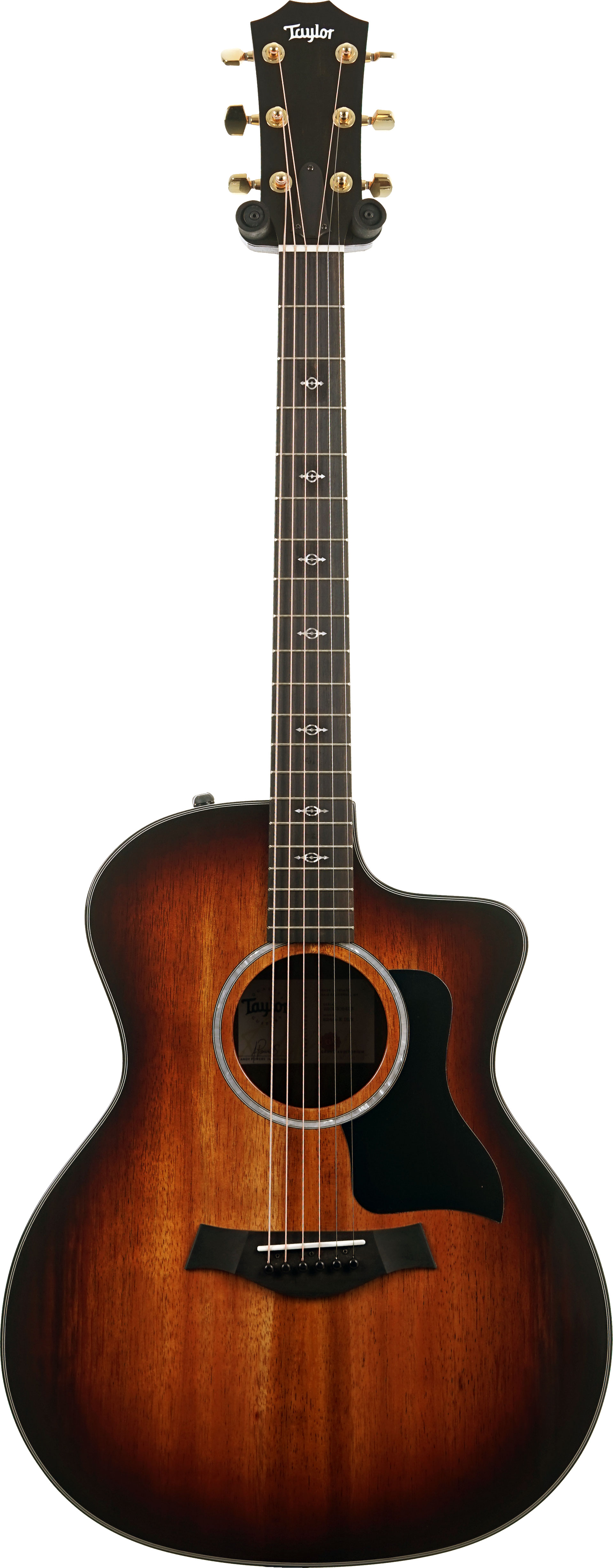 GUITARGUITAR Taylor 224ce-K Deluxe Grand Auditorium #2205305423