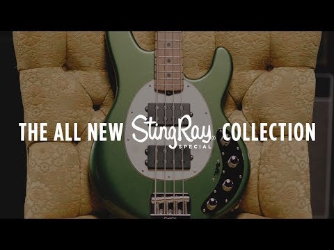GUITARGUITAR Music Man Stingray Special 4 H Grape Crush Rosewood Fingerboard