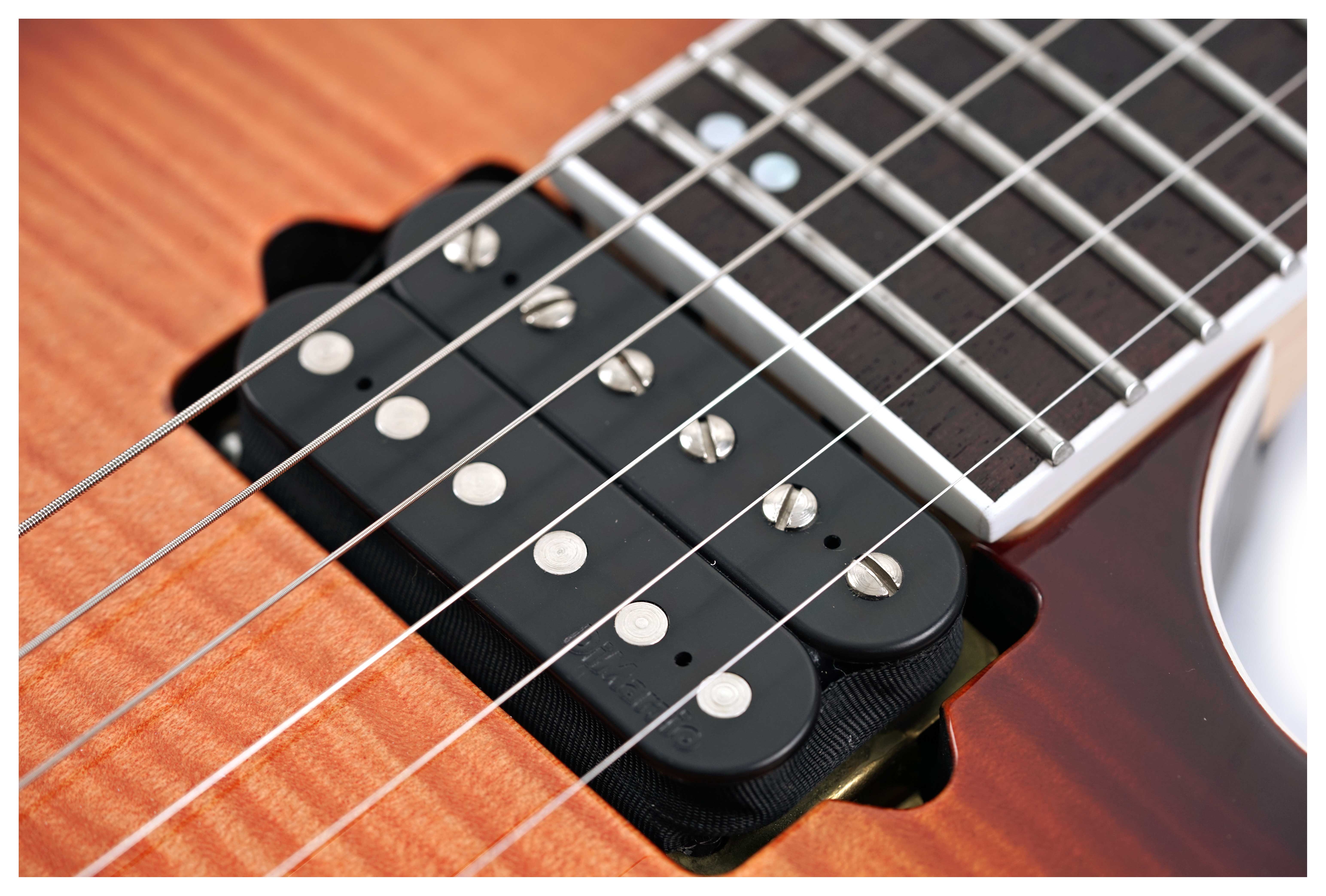 GUITARGUITAR Ibanez RG Prestige RG01GG20 guitarguitar Exclusive Model Brownish Sphalerite
