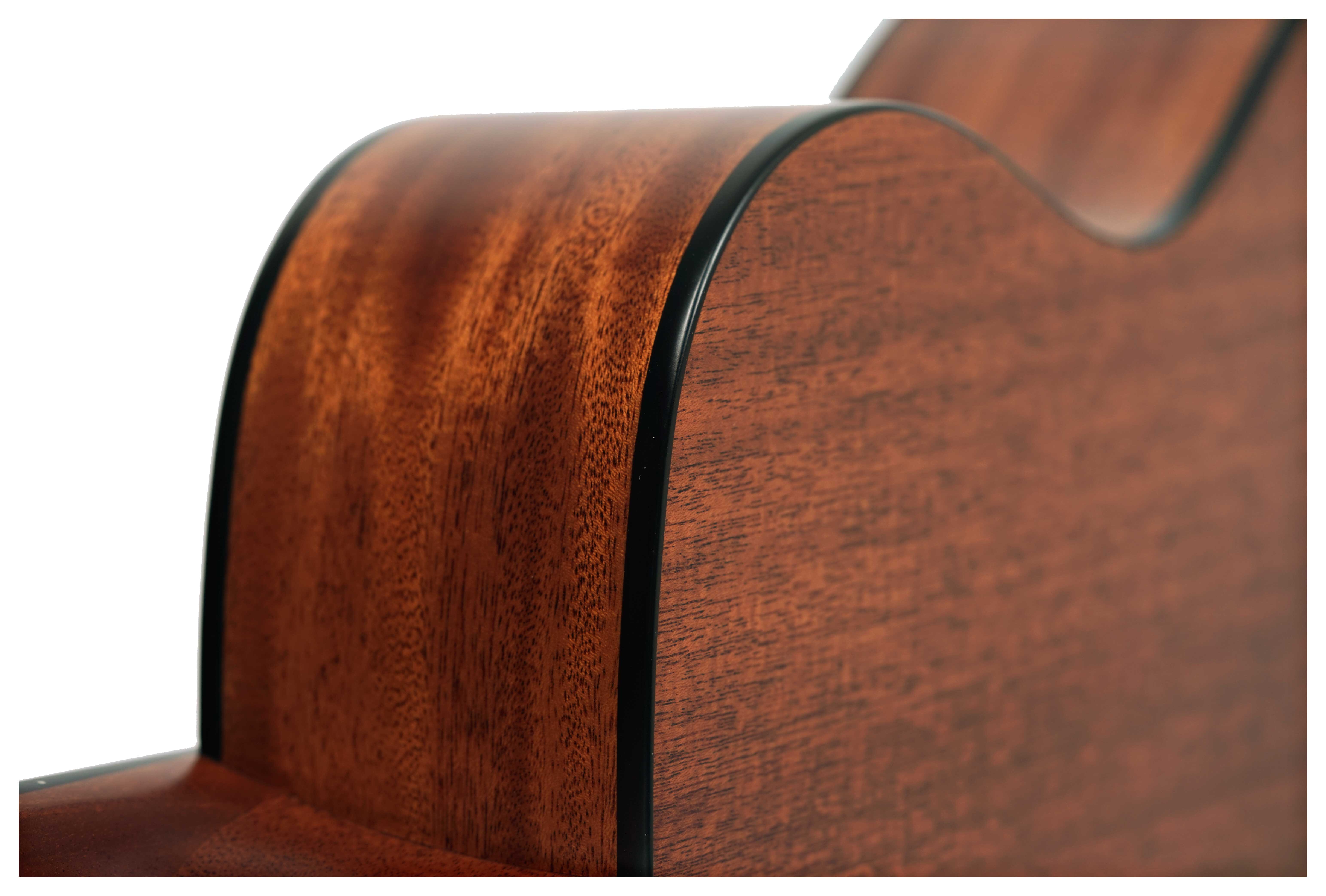 GUITARGUITAR Alvarez Limited Edition Artist Series AF66 Mahogany