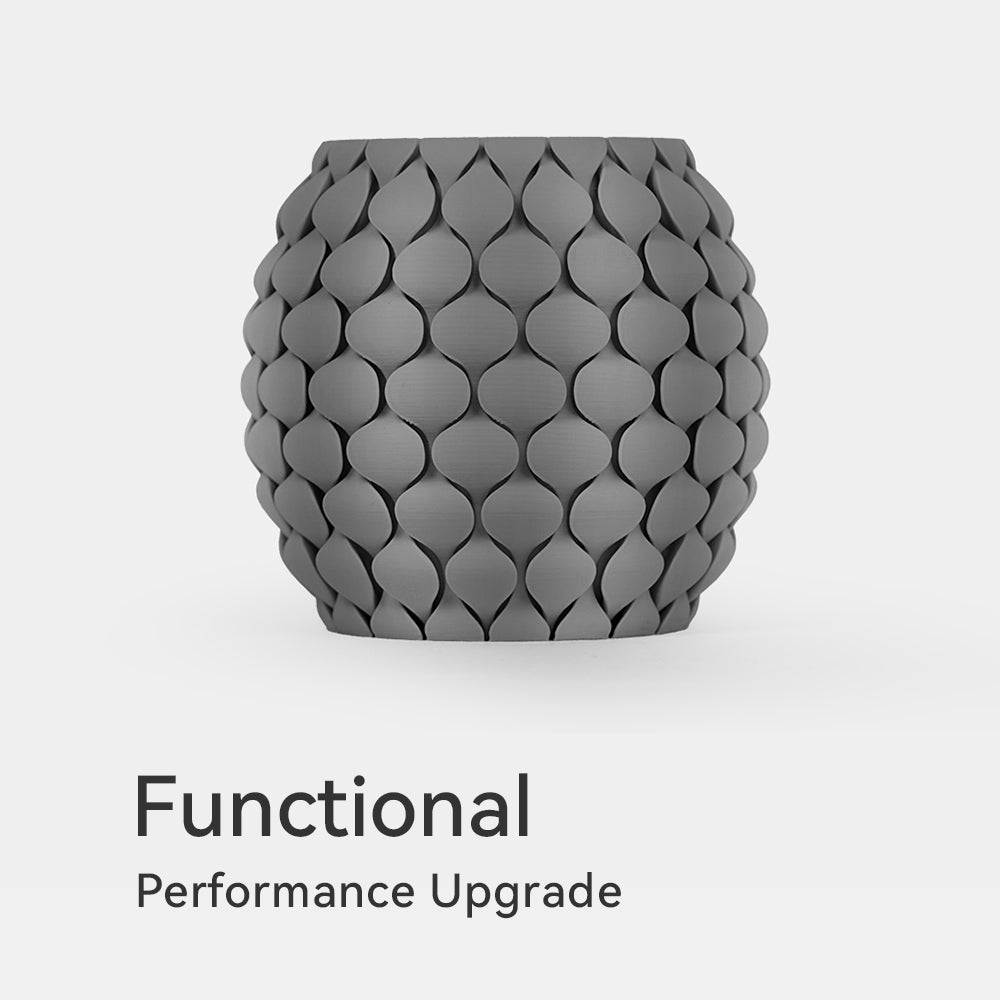Functional Filaments