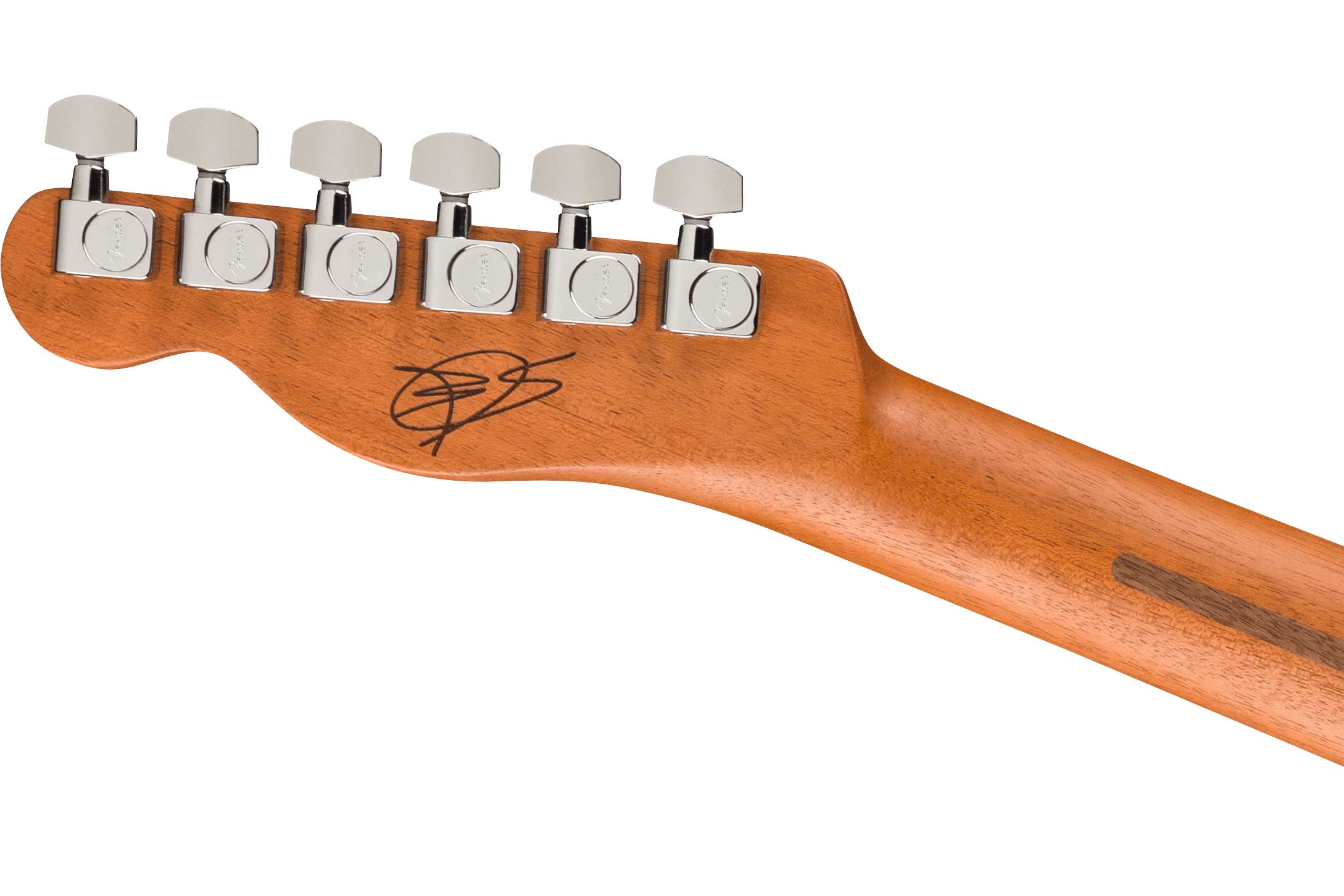 GUITARGUITAR Fender FINNEAS Signature Acoustasonic Player Telecaster Cappuccino Fade Rosewood Fingerboard