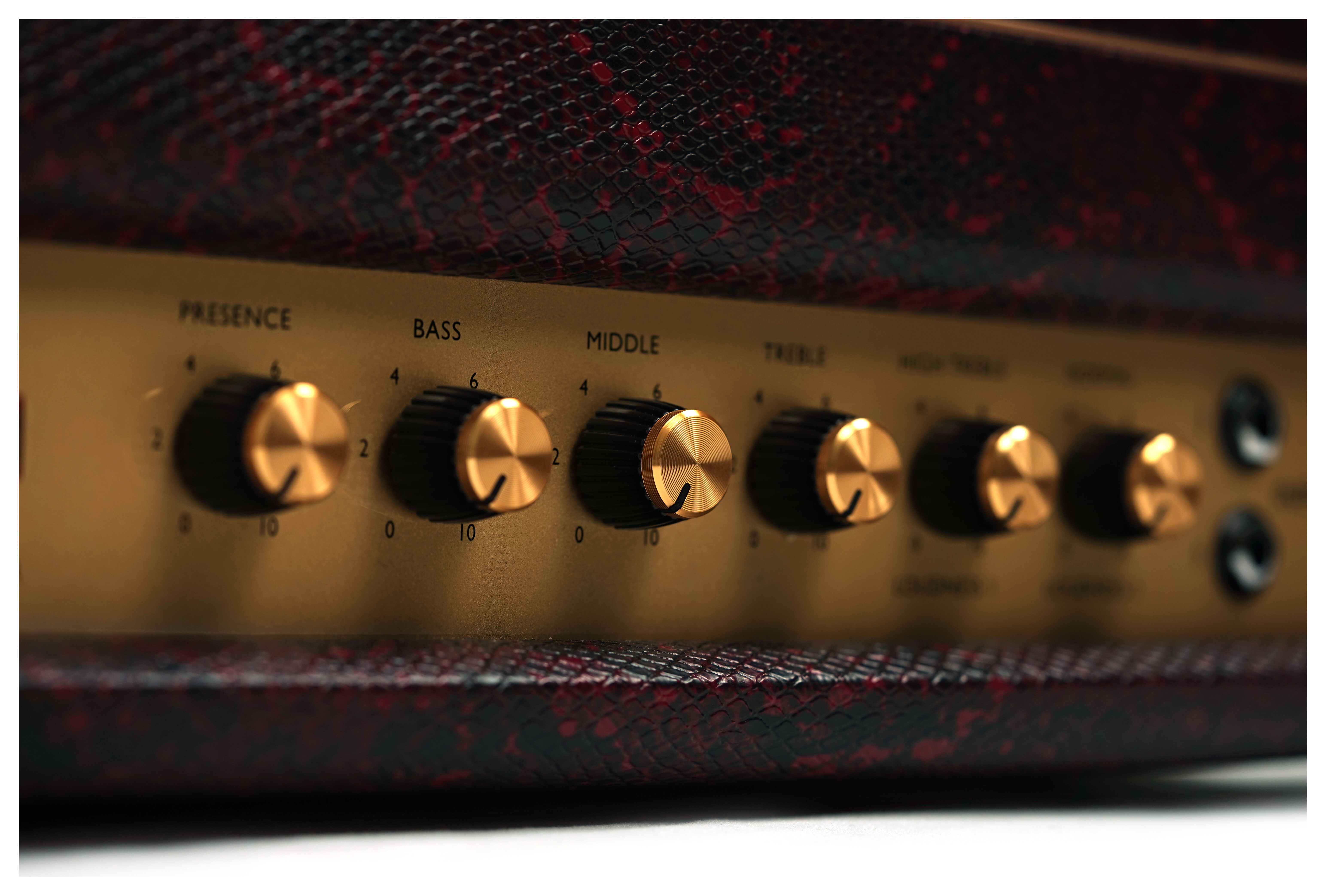 GUITARGUITAR Marshall Design Store SV20H Studio Vintage Valve Amp Head Burgundy Snakeskin