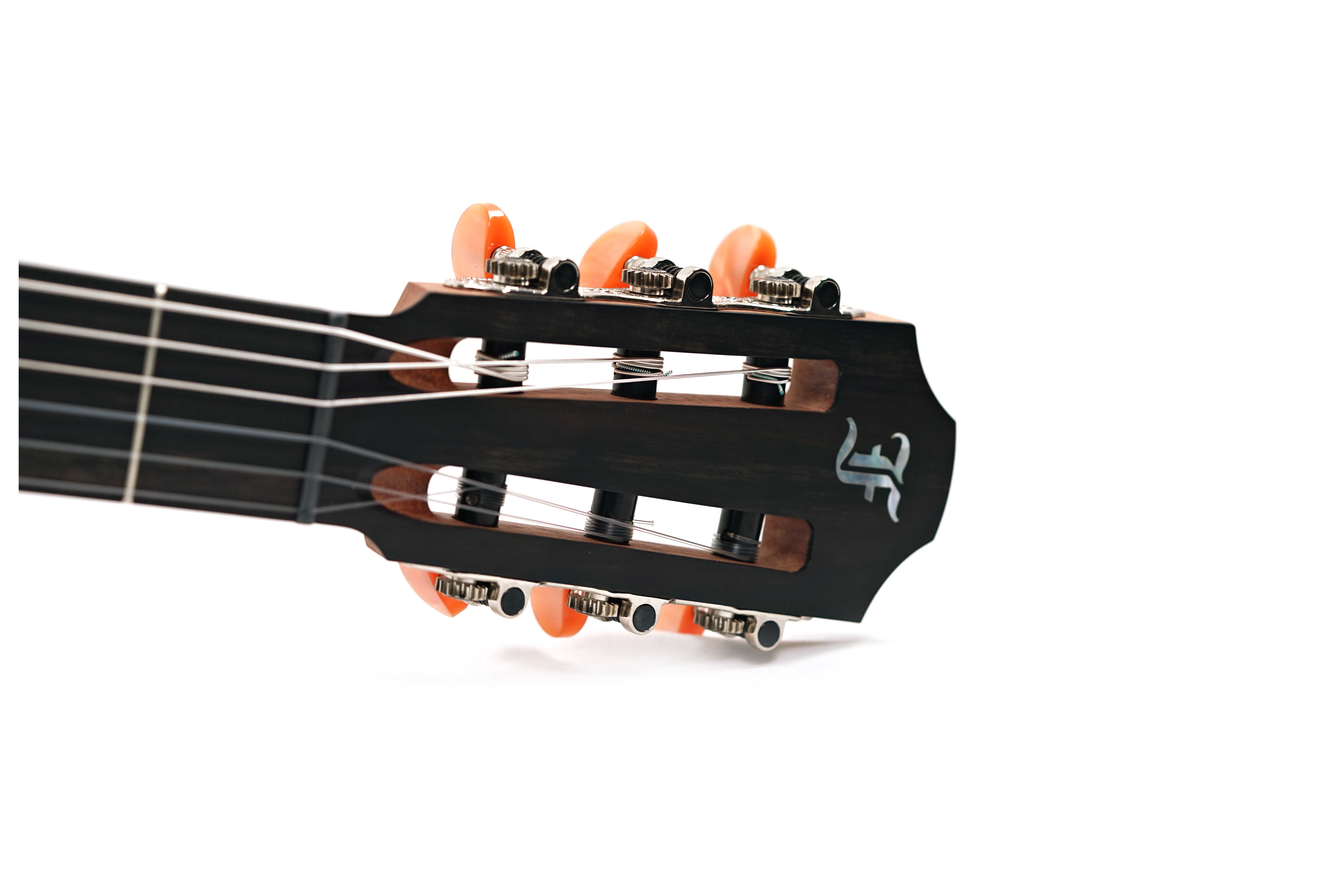 GUITARGUITAR Furch GNc 2-SW with CNR Active