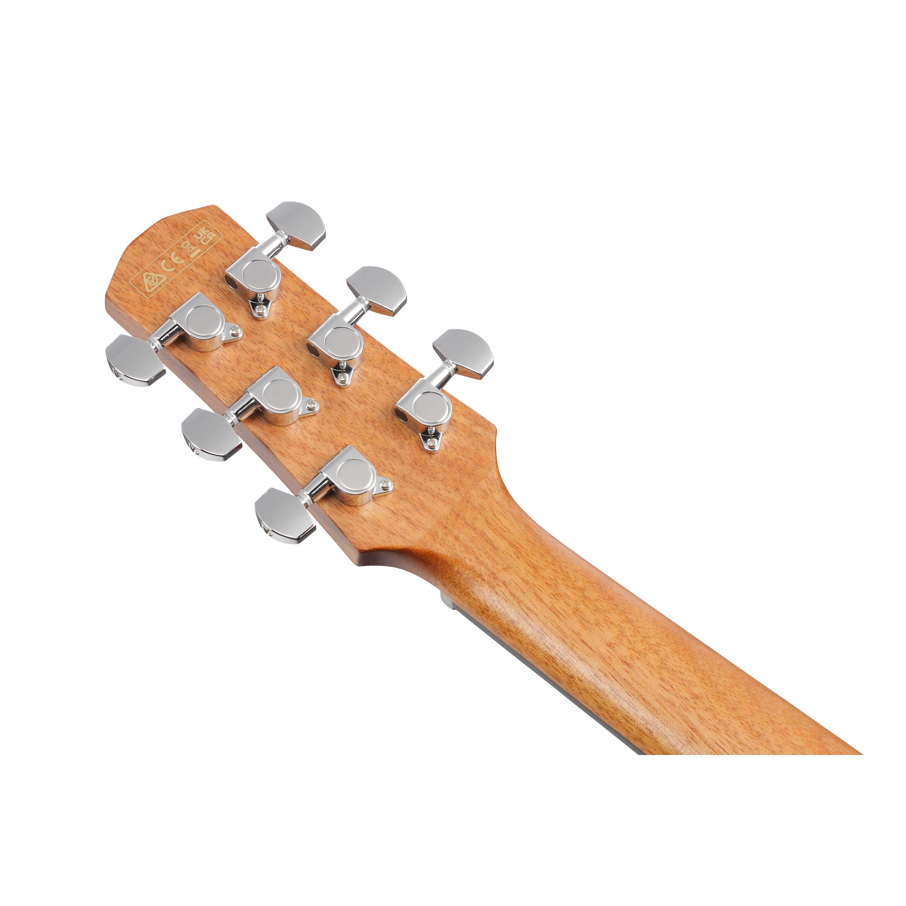 GUITARGUITAR Ibanez AAM50CE Open Pore Natural