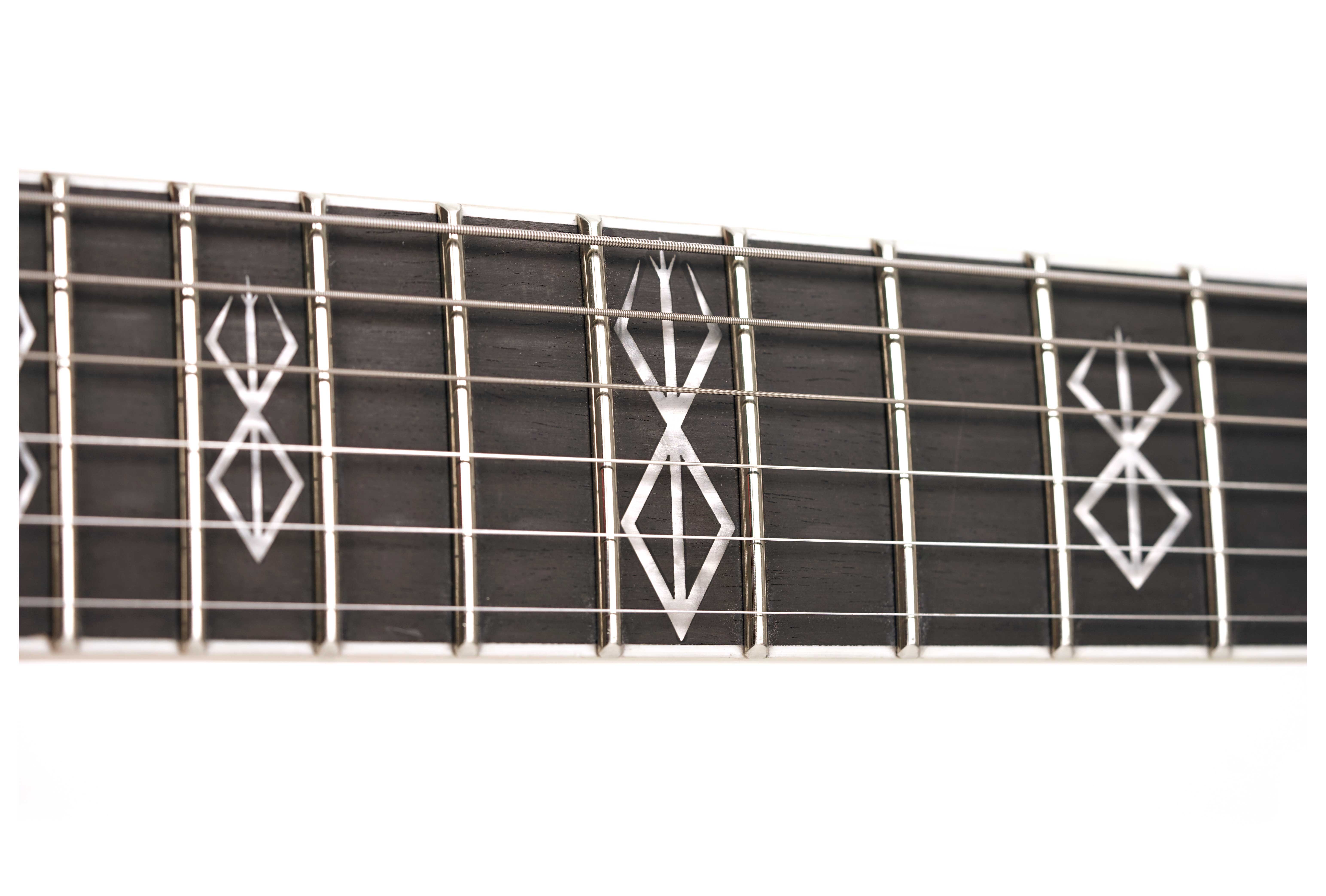 GUITARGUITAR Wylde Audio Berzerker Corridors