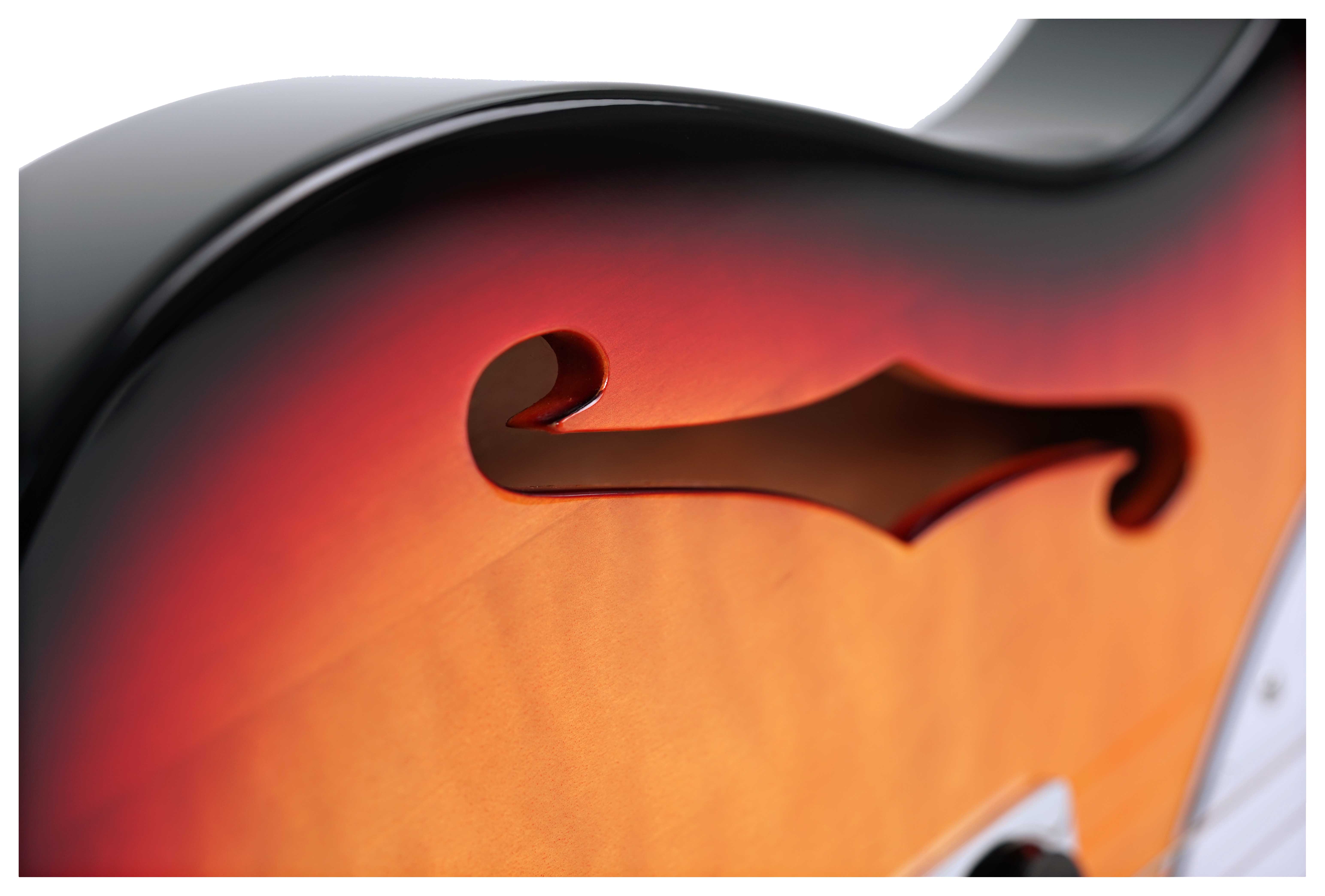 GUITARGUITAR Squier Affinity Series Telecaster Thinline White Pickguard 3-Colour Sunburst Maple Fingerboard