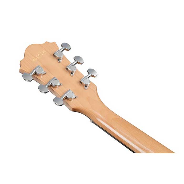 GUITARGUITAR Ibanez AE170 AE Series Natural