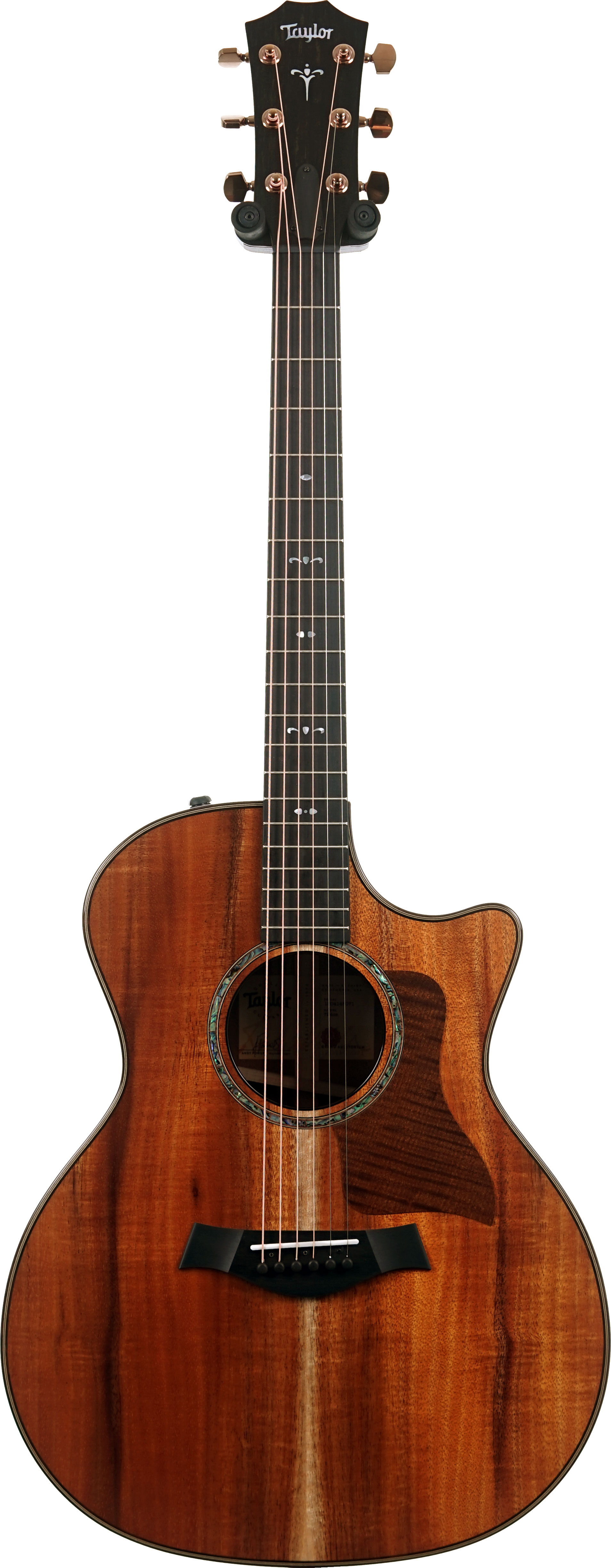 GUITARGUITAR Taylor 724ce Gloss Grand Auditorium #1204145071