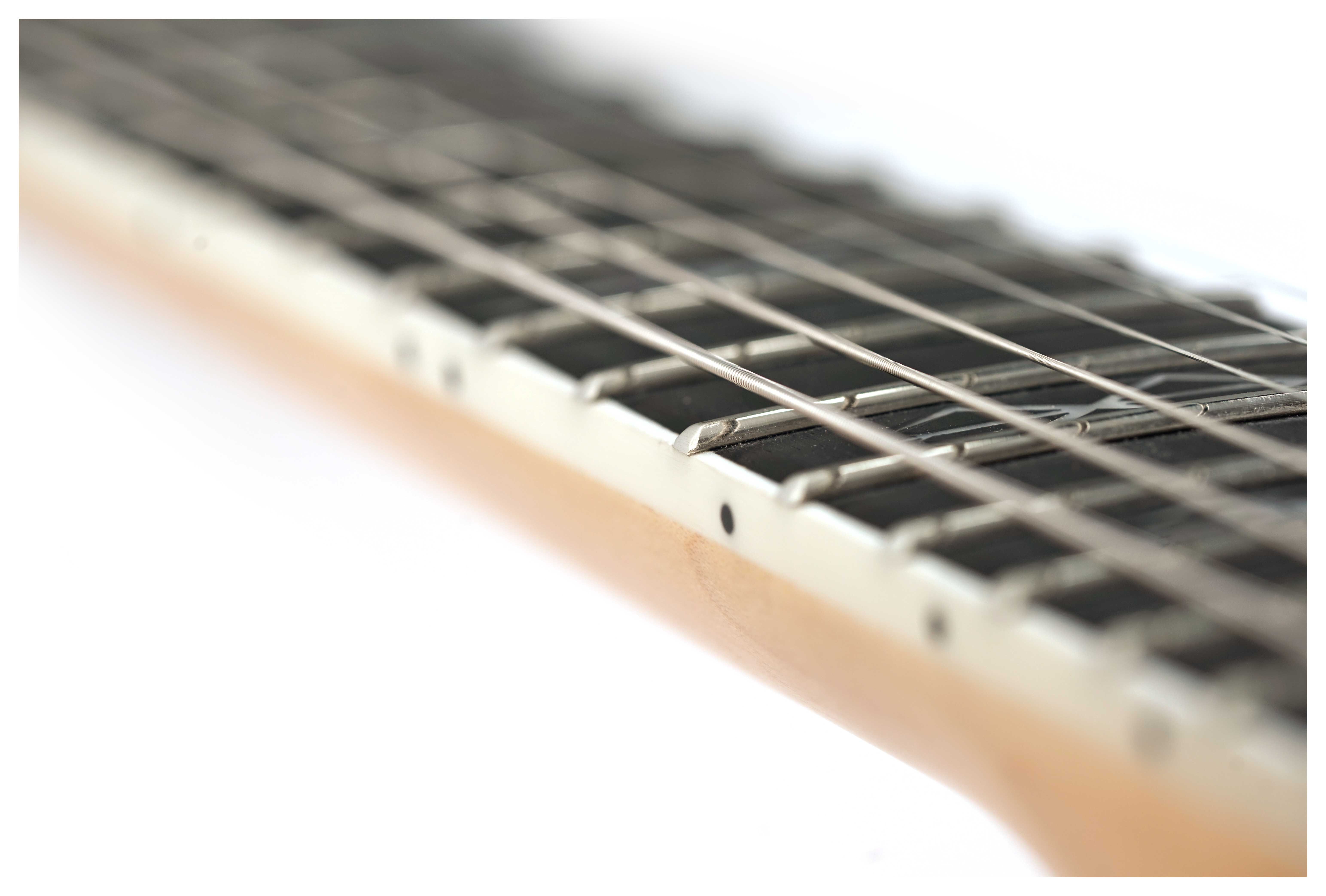 GUITARGUITAR Wylde Audio Berzerker Corridors