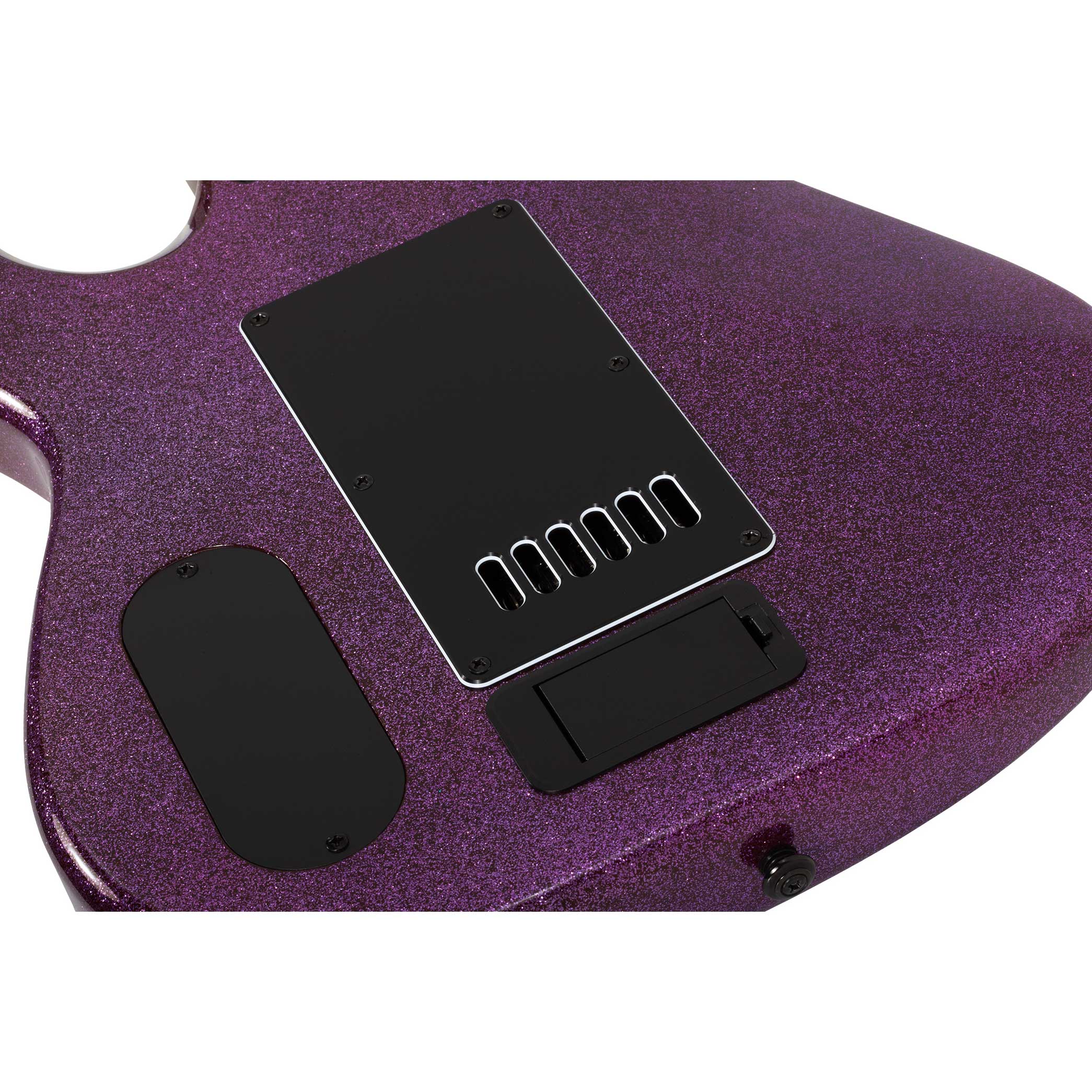 GUITARGUITAR Schecter Danskimo-6 Purple Sparkle