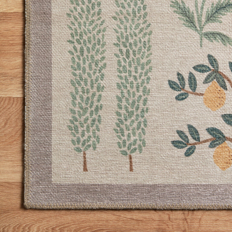 World Market Rifle Paper Co. Les Fauves Wild Animals Area Rug