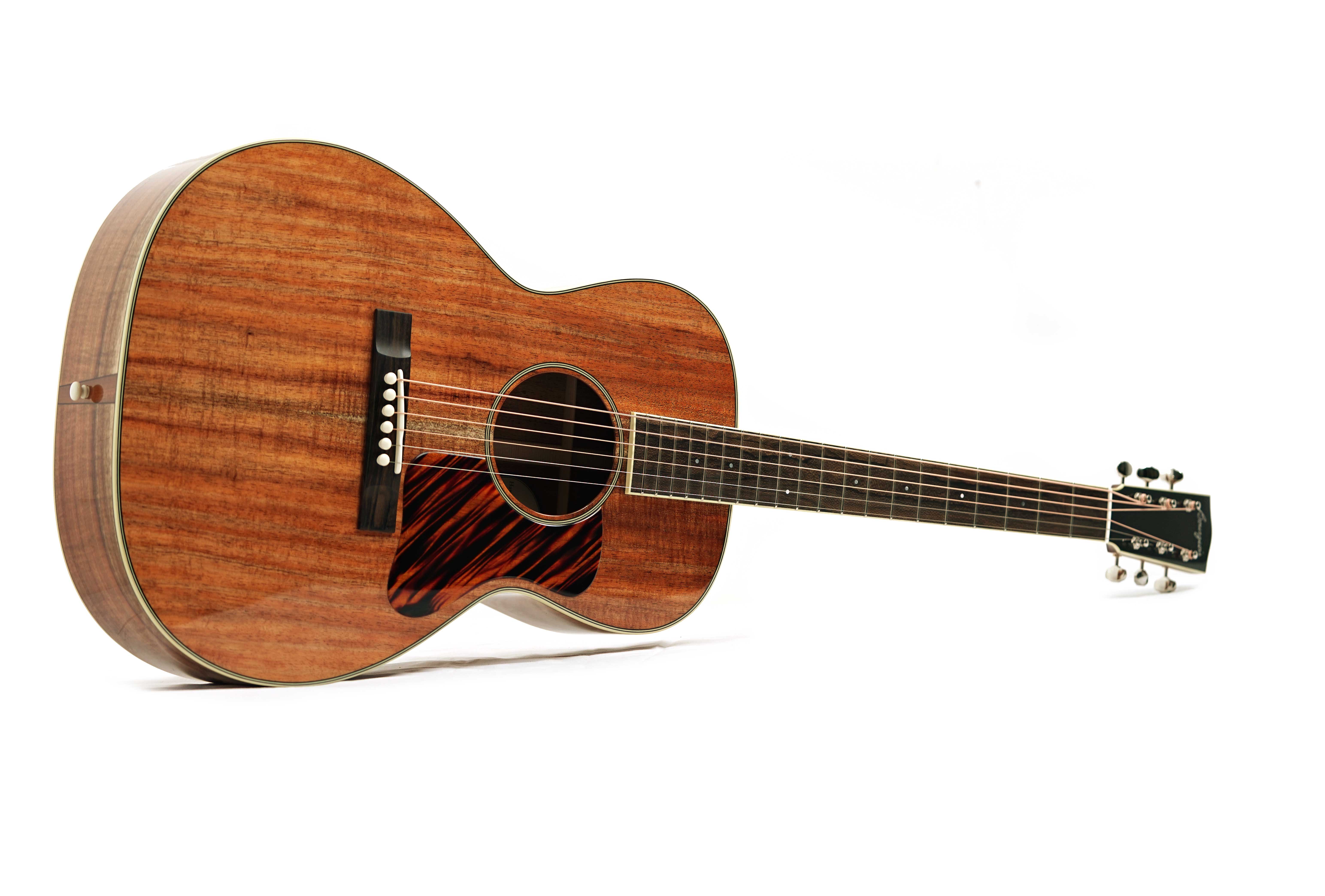 GUITARGUITAR Bourgeois Downeast Series Bourgeois Blues LDB #T2511220