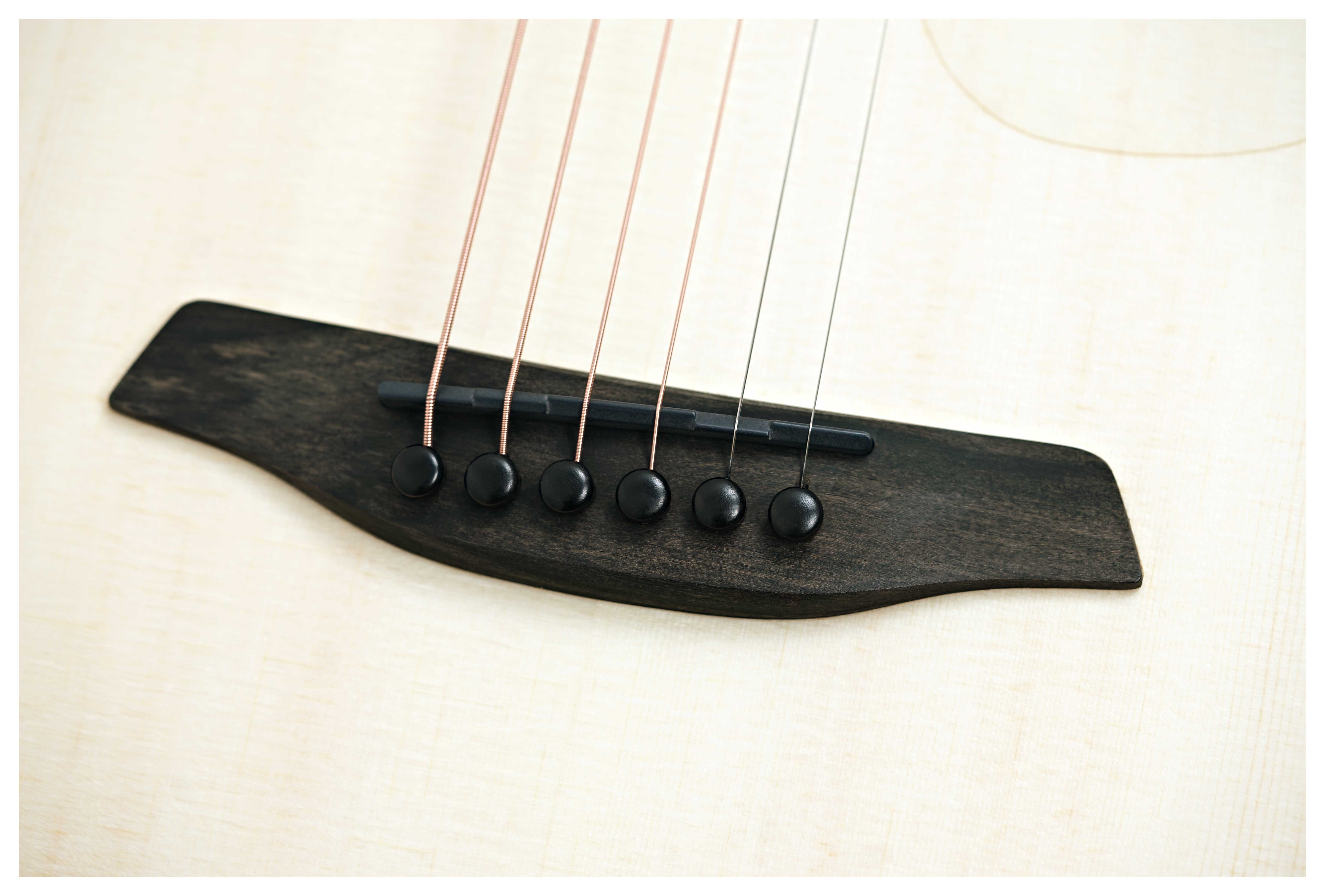 GUITARGUITAR Furch Pioneer-ER With CNR System Active