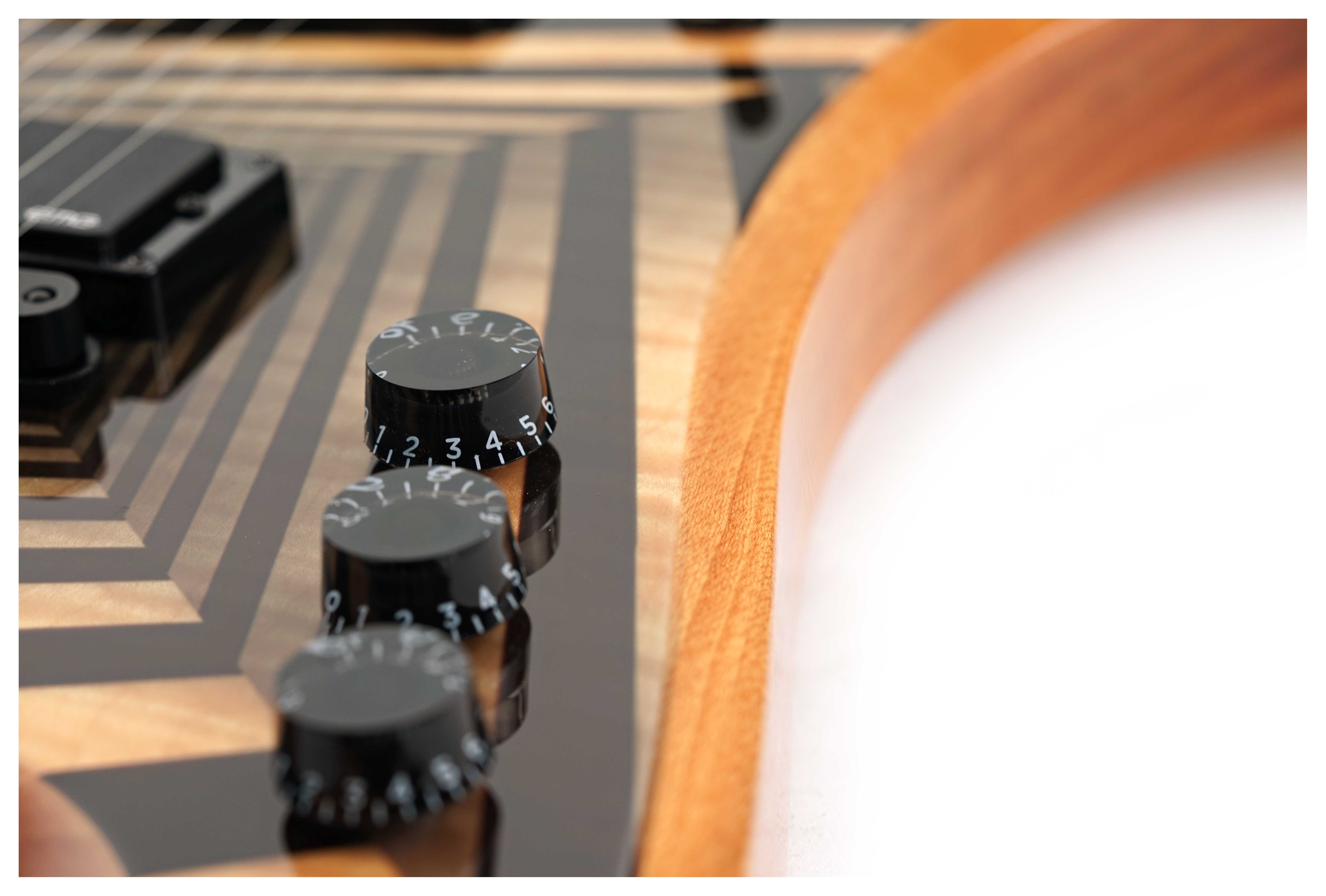 GUITARGUITAR Wylde Audio Berzerker Corridors