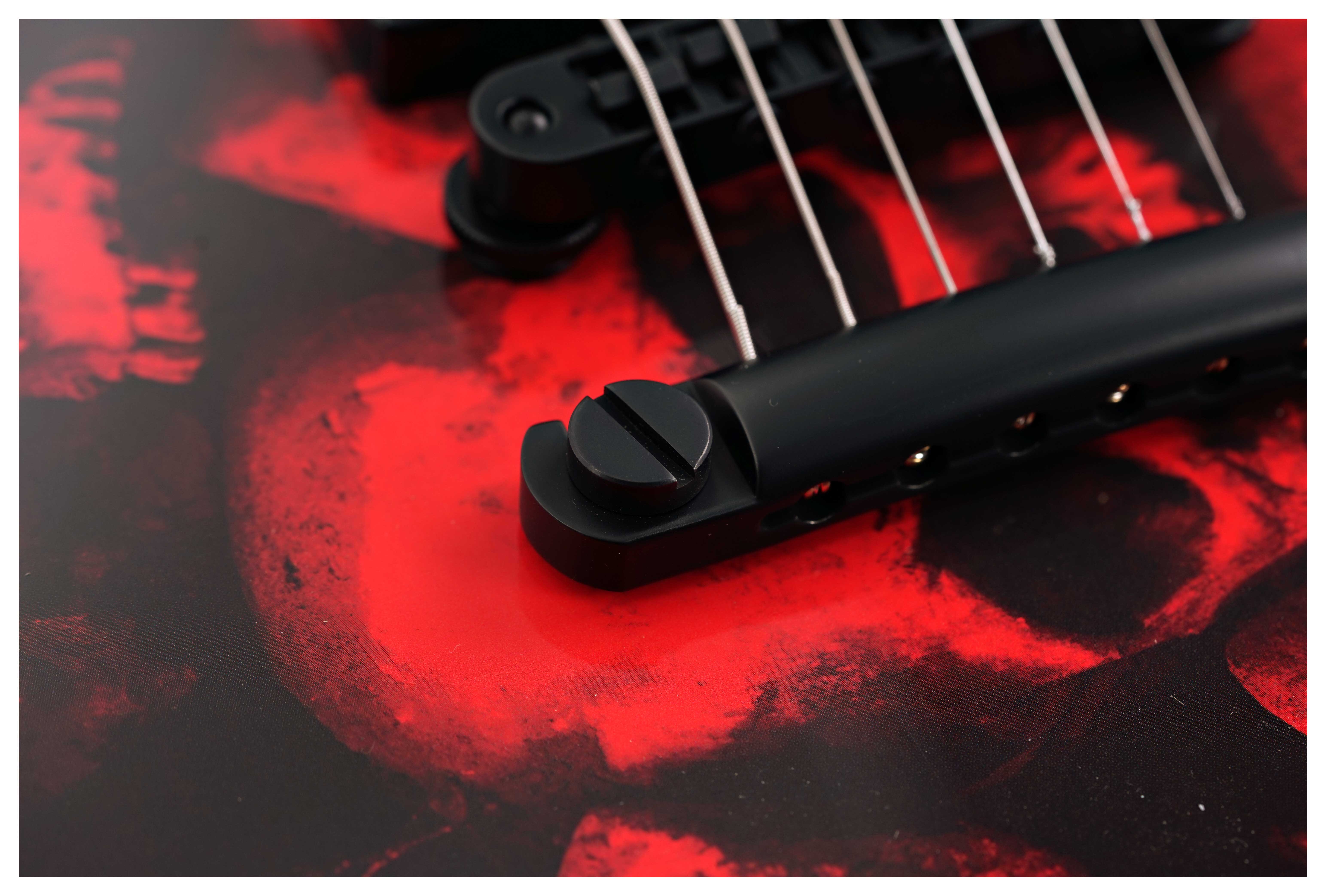 GUITARGUITAR Wylde Audio Berzerker Blood Skull