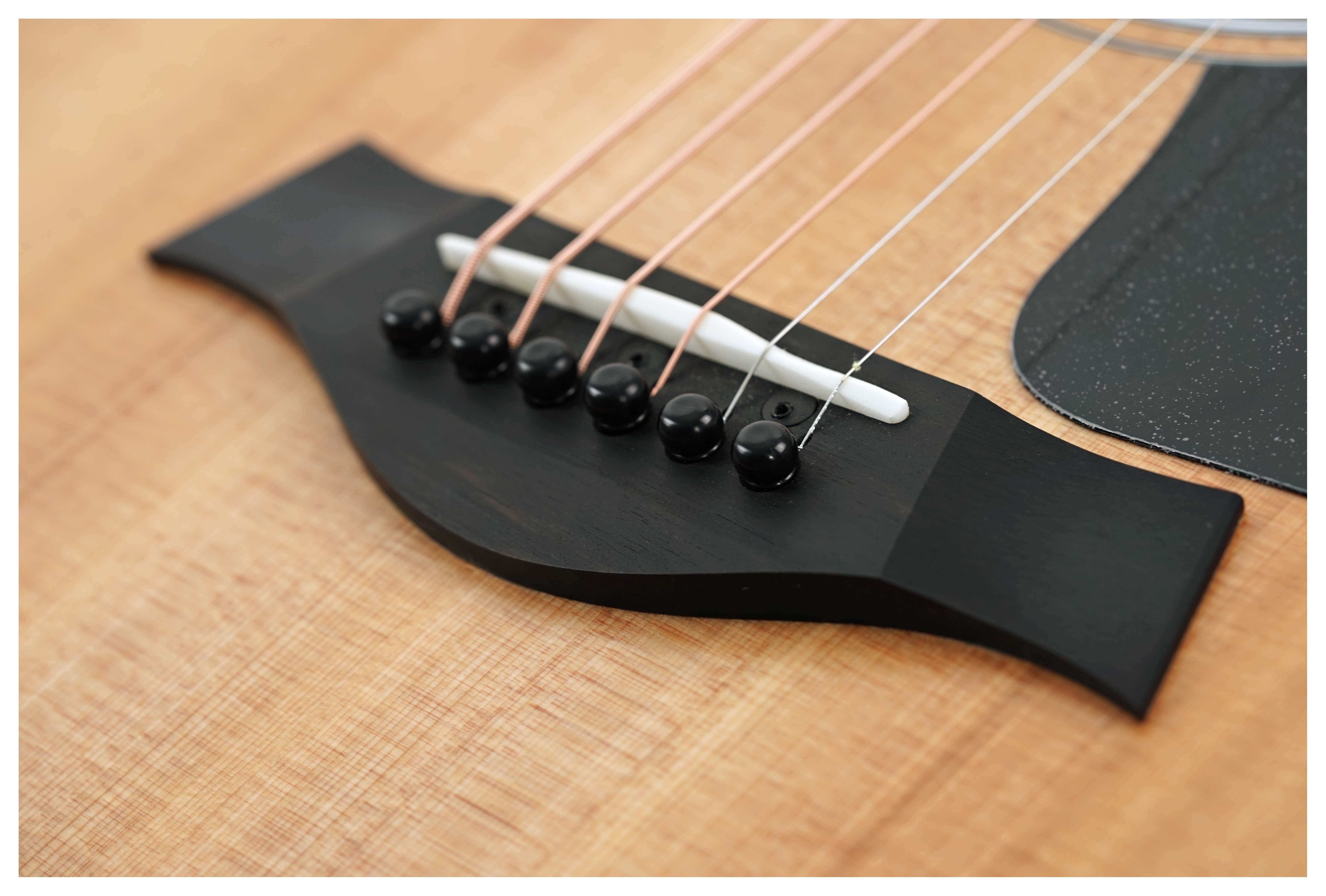 GUITARGUITAR Taylor 110ce-S Sapele C-Class Bracing