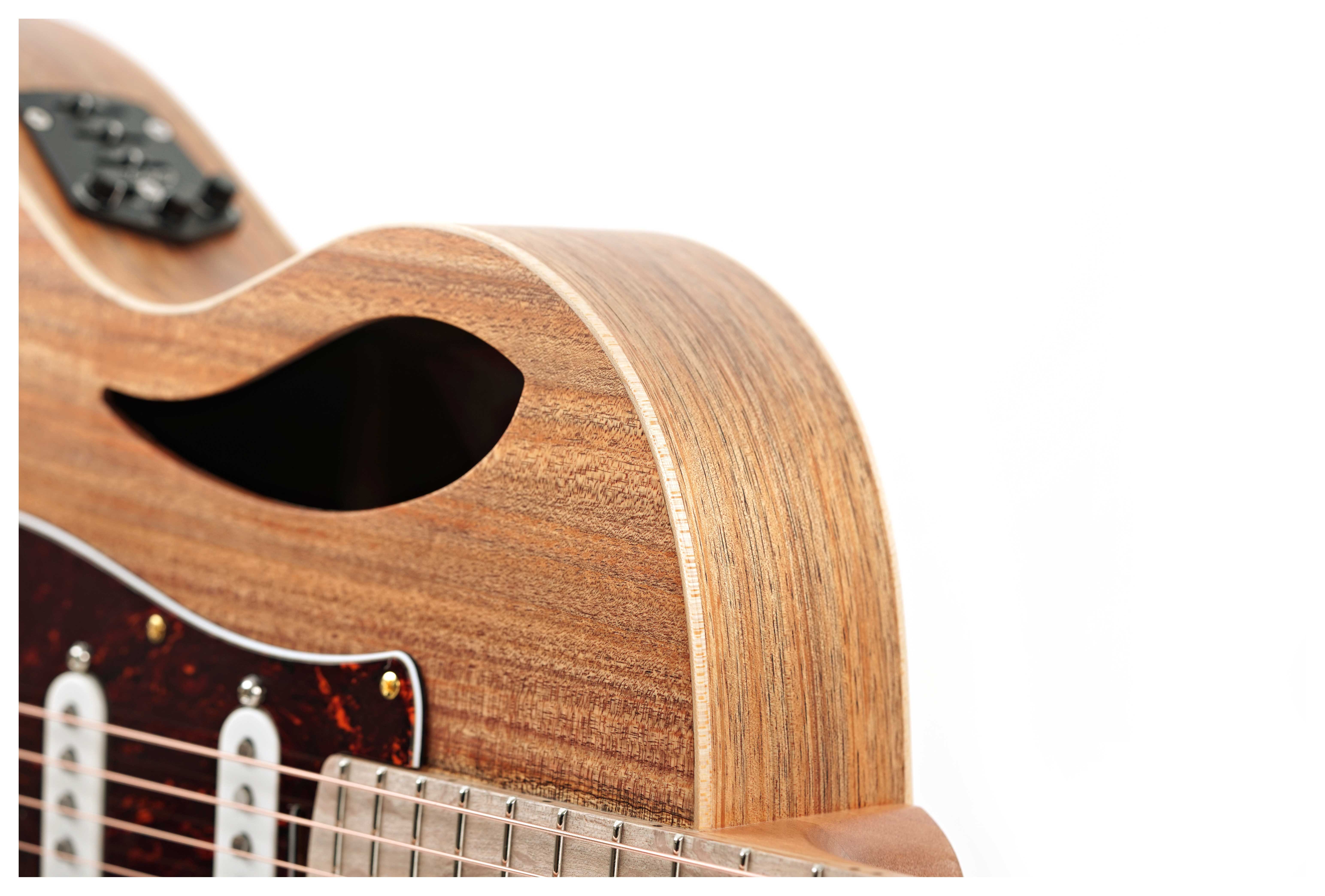 GUITARGUITAR Cole Clark True Hybrid HSS Thinline All Blackwood