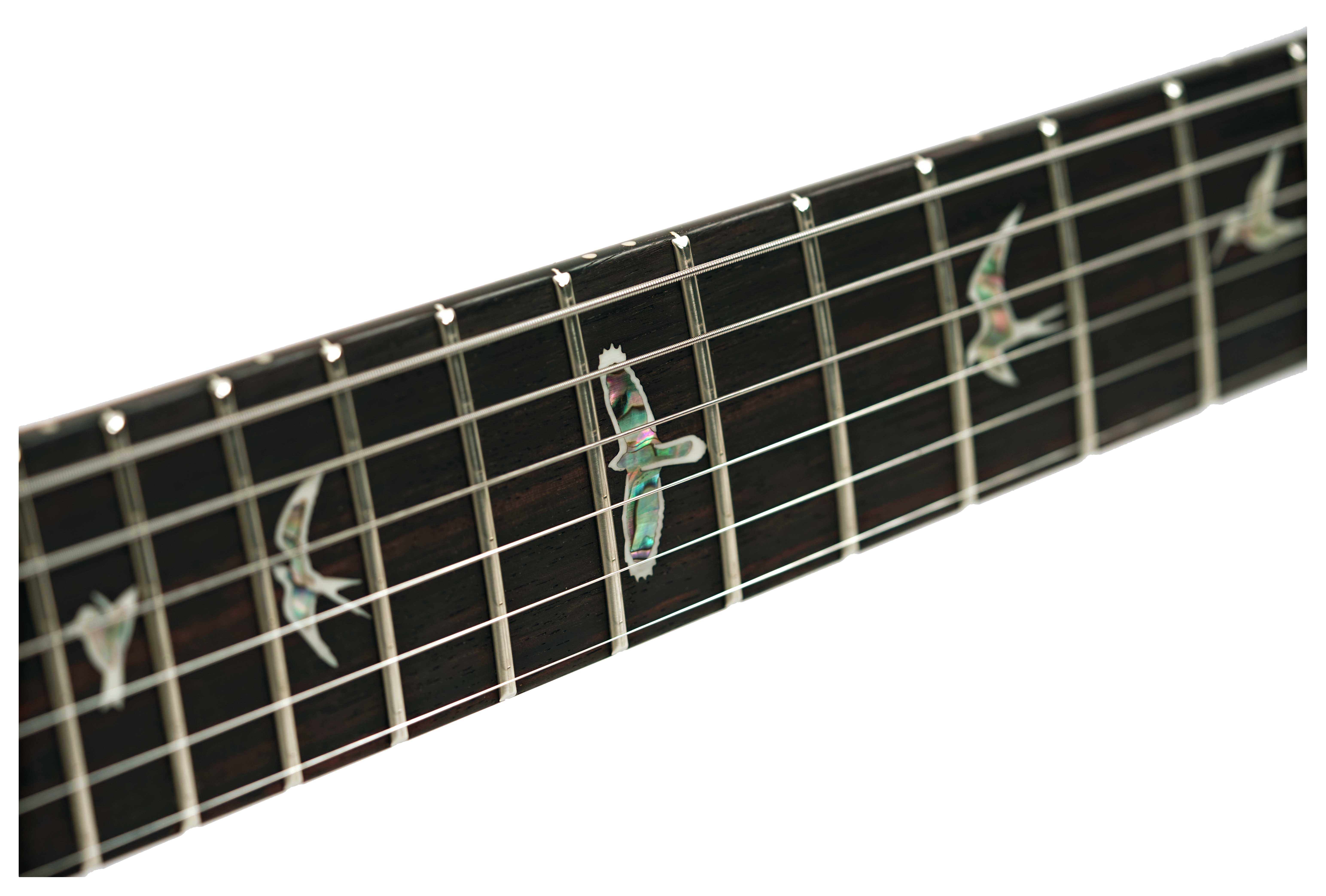 GUITARGUITAR PRS Custom 24-08 Aurora Borealis #0414687