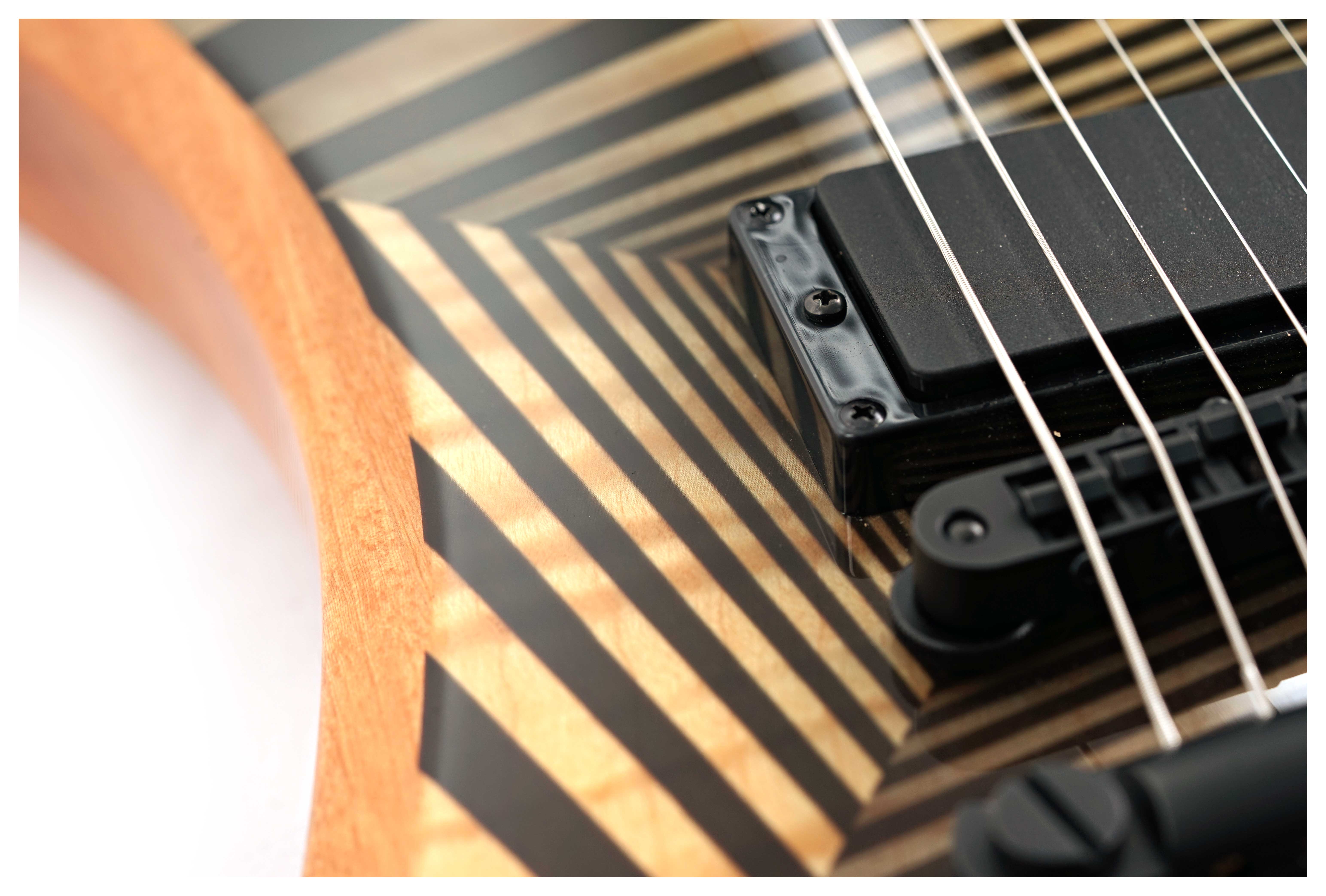 GUITARGUITAR Wylde Audio Berzerker Corridors