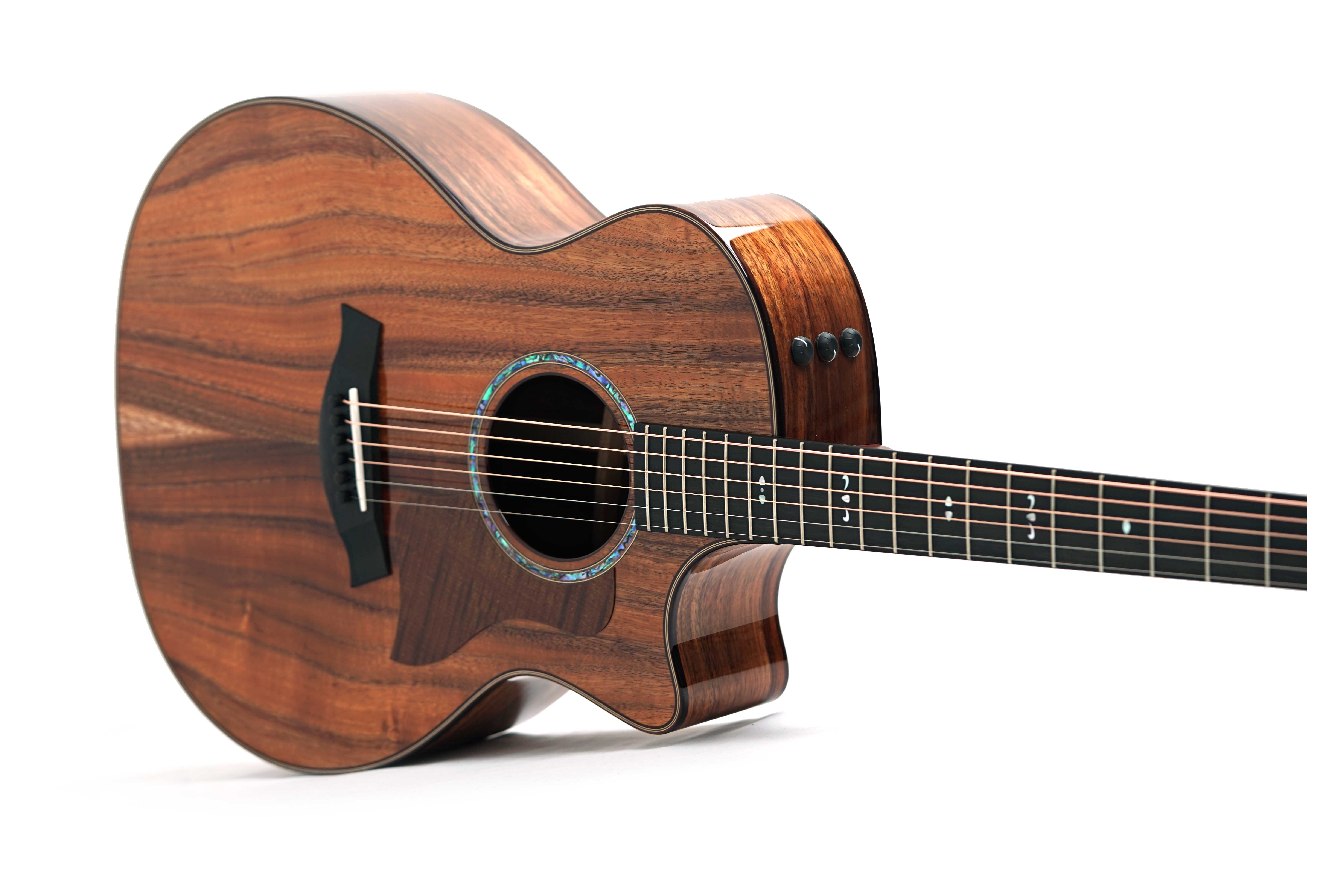 GUITARGUITAR Taylor 724ce Gloss Grand Auditorium #1203285072
