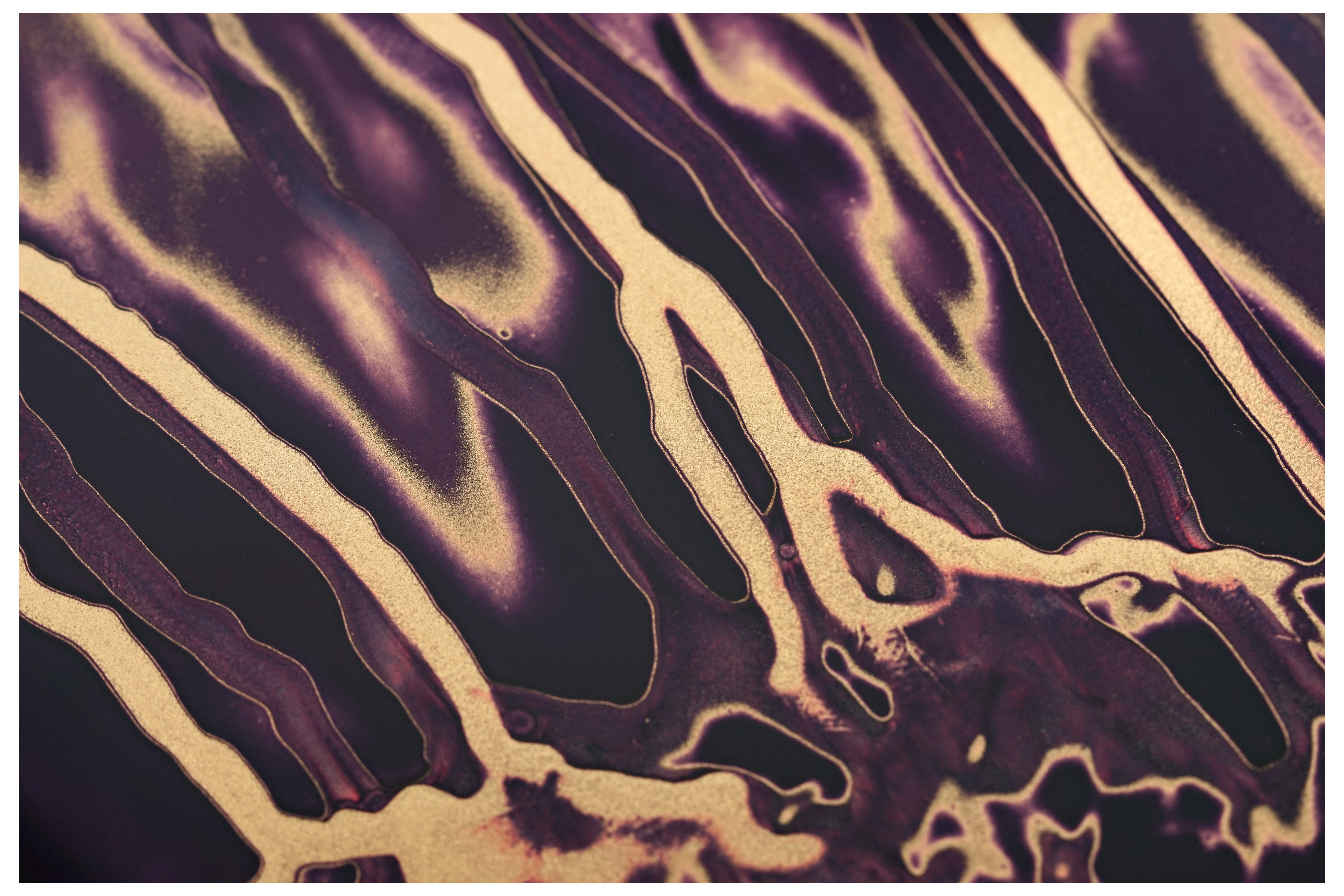 GUITARGUITAR Tyler Studio Elite HD Wine-Ou Vomit #532