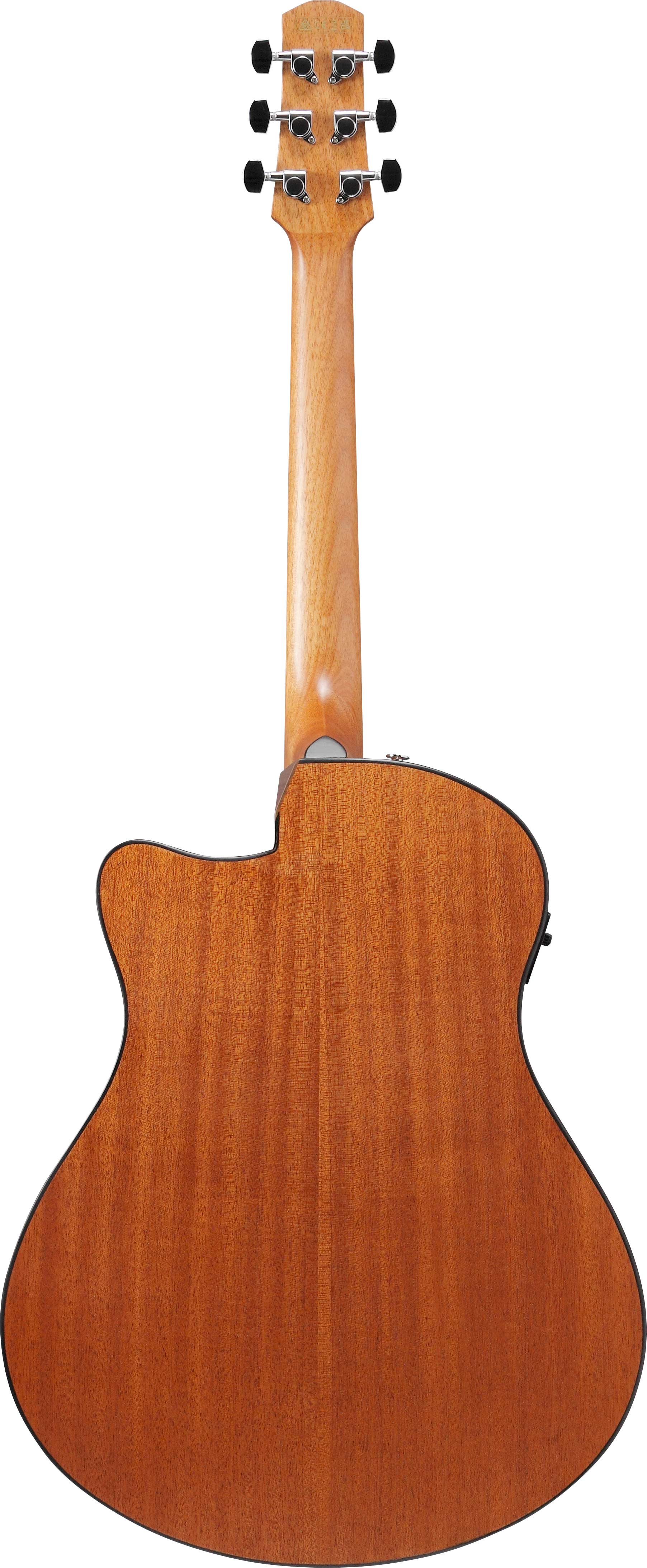 GUITARGUITAR Ibanez AAM50CE Open Pore Natural