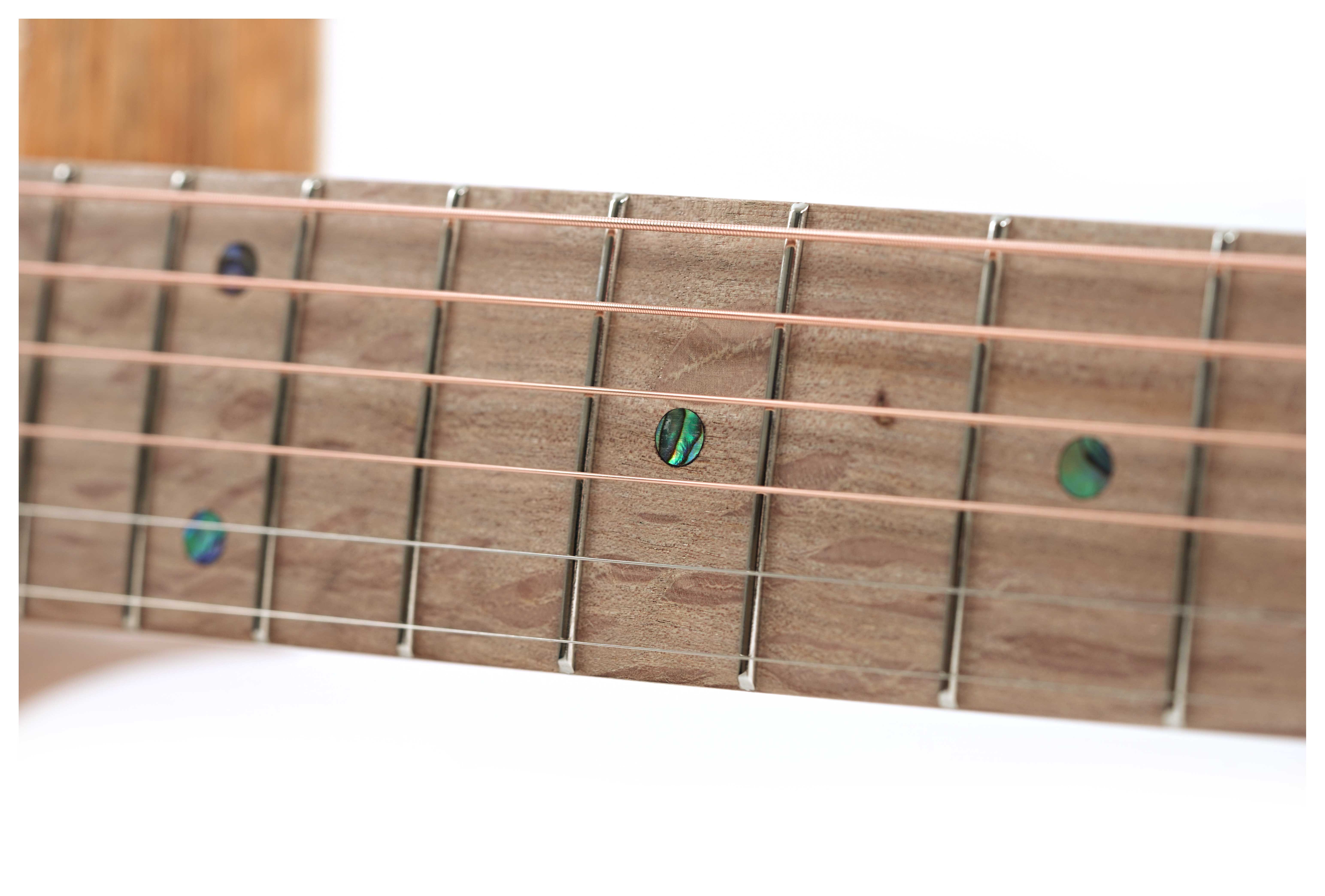 GUITARGUITAR Cole Clark True Hybrid HSS Thinline All Blackwood