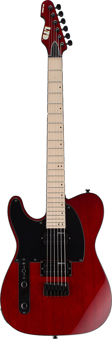 GUITARGUITAR ESP LTD TE-200M See Thru Black Cherry LH