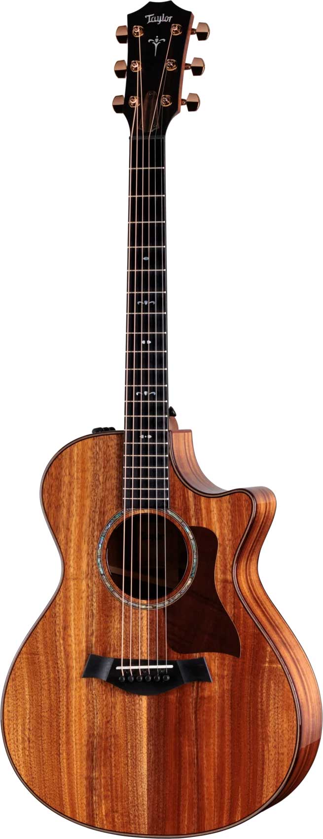 GUITARGUITAR Taylor 722ce Gloss Grand Concert