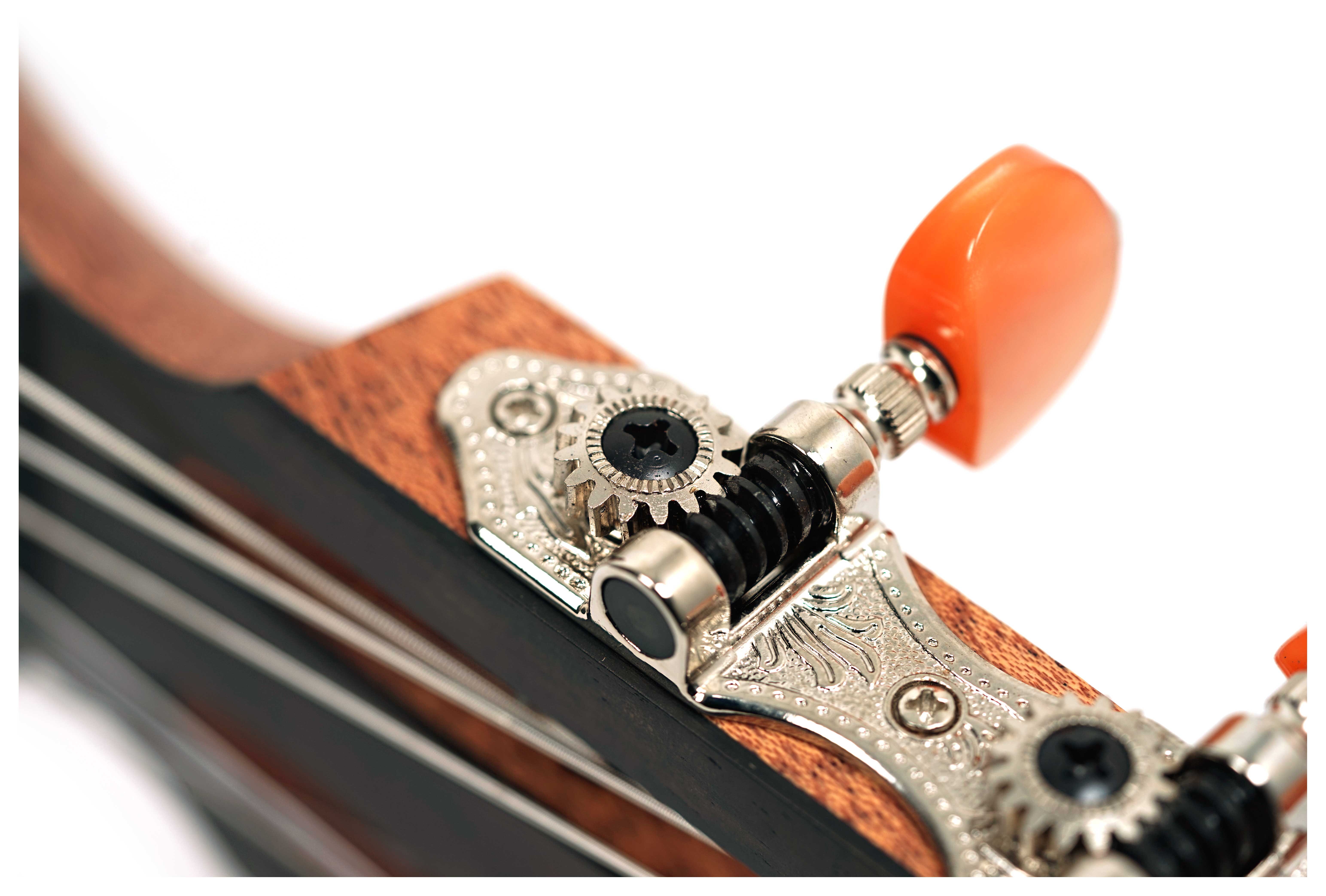 GUITARGUITAR Furch GNc 2-SW with CNR Active