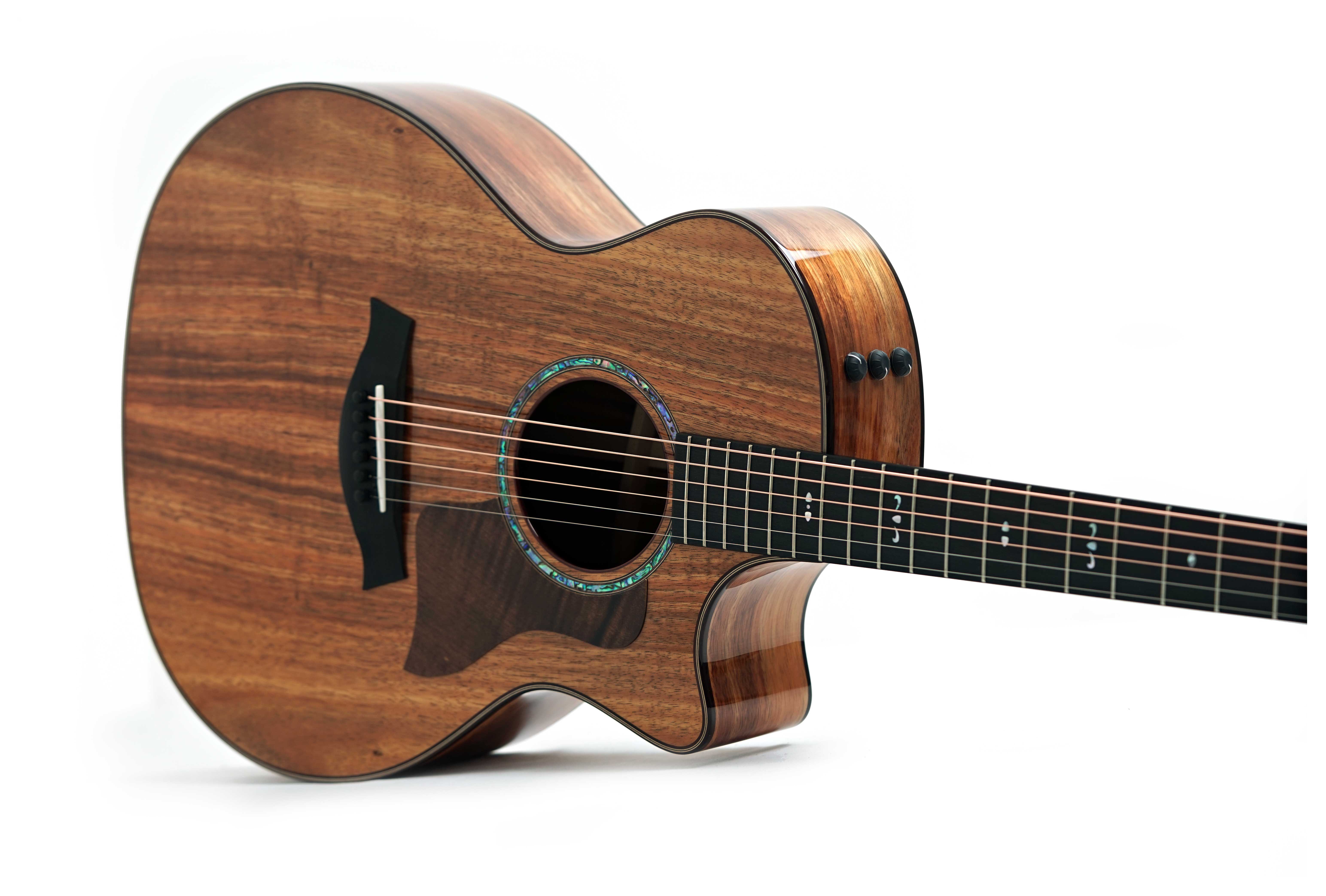 GUITARGUITAR Taylor 724ce Gloss Grand Auditorium #1203265069