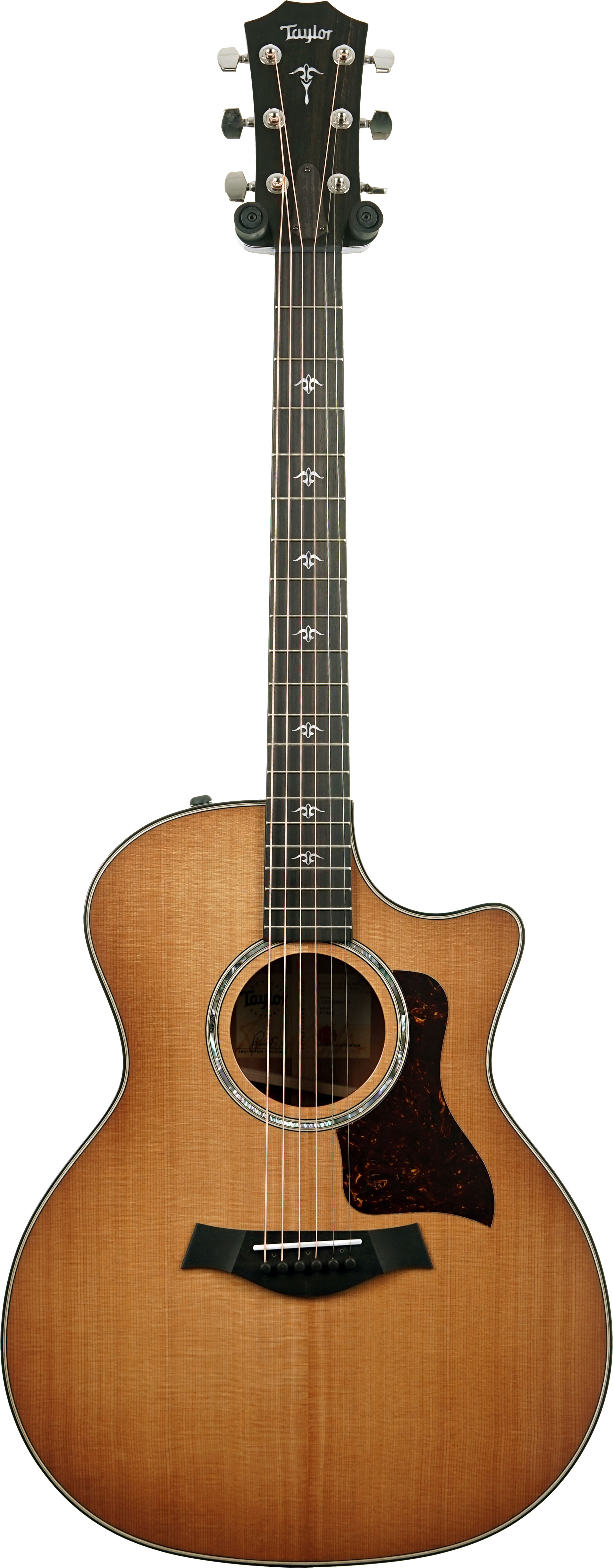 GUITARGUITAR Taylor 514ce Grand Auditorium Torrefied Sitka Spruce/Urban Ironbark #1208294056